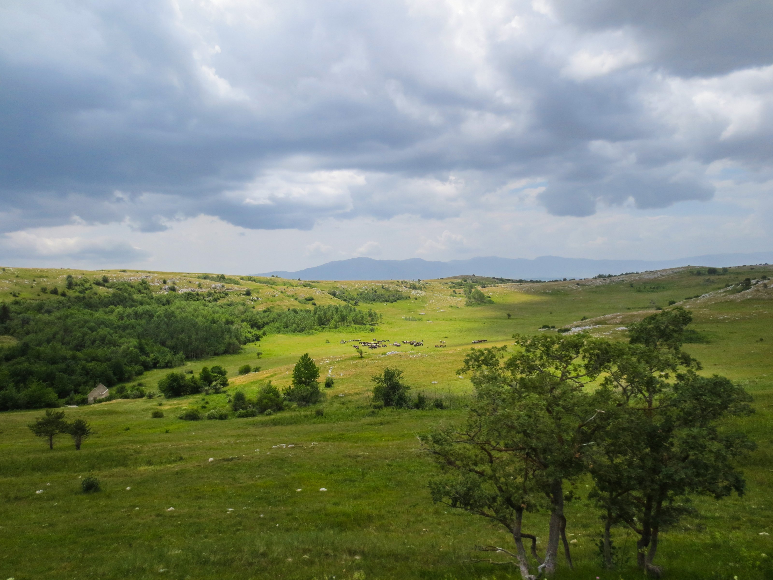 Livno 24 (19)_edited.jpg