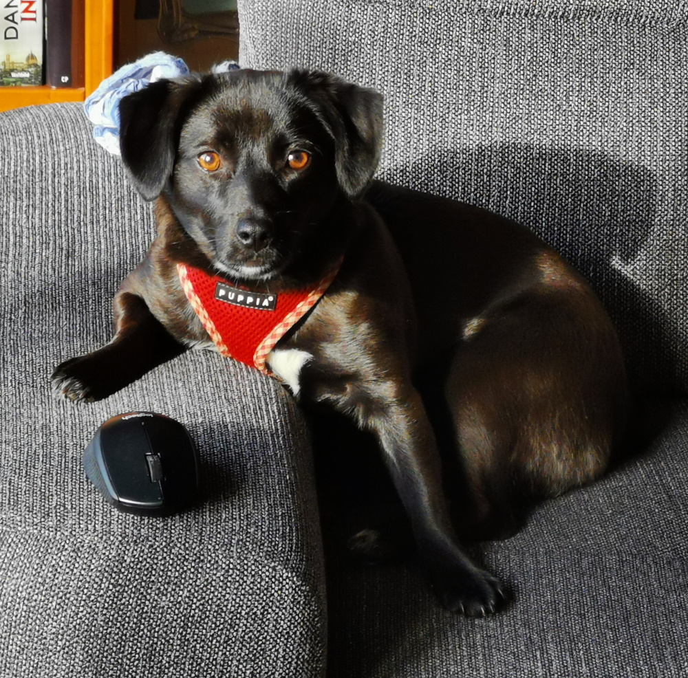 Lucy_MB_Platz.jpg