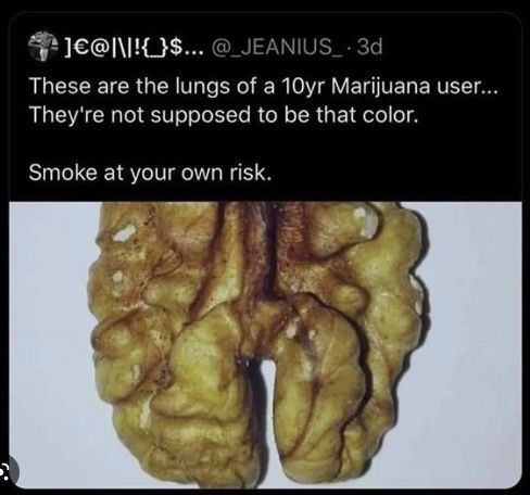 lungser.jpg