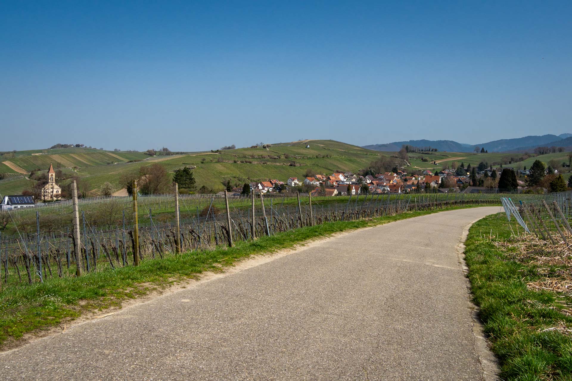 Markgäflerland-4083871.jpg