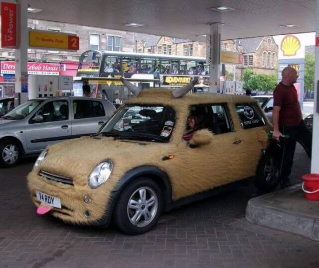 Mini.jpg