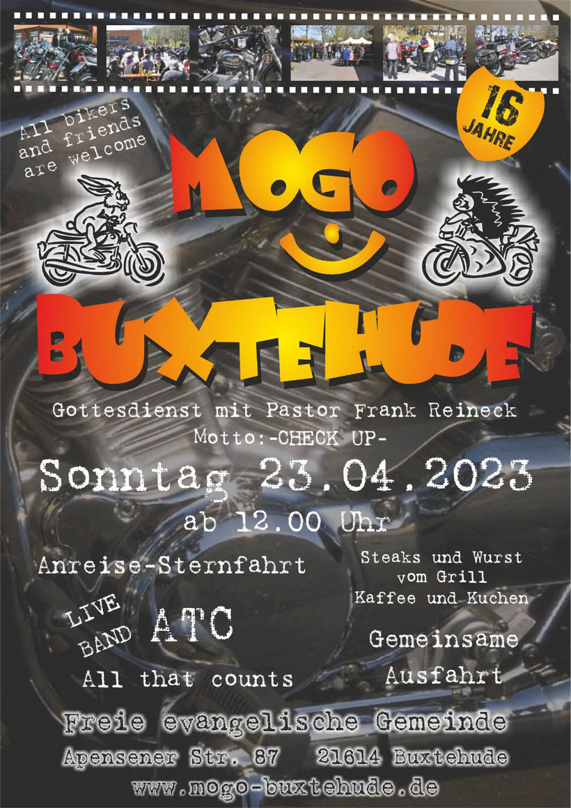 MOGO-Buxte.jpg