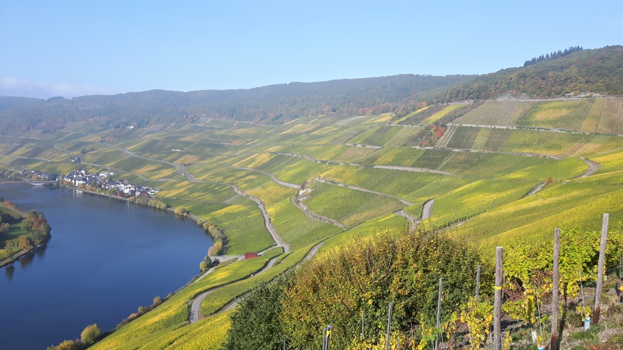 Mosel02.jpg