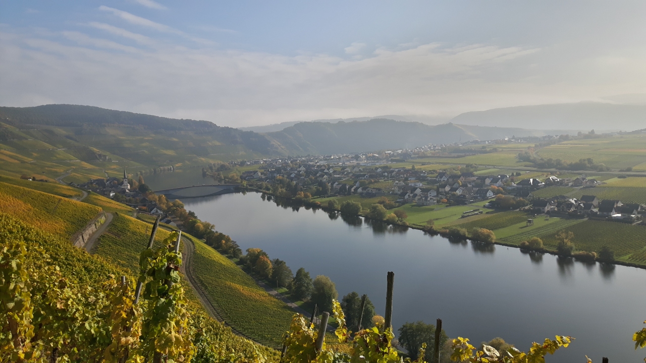 Mosel03.jpg