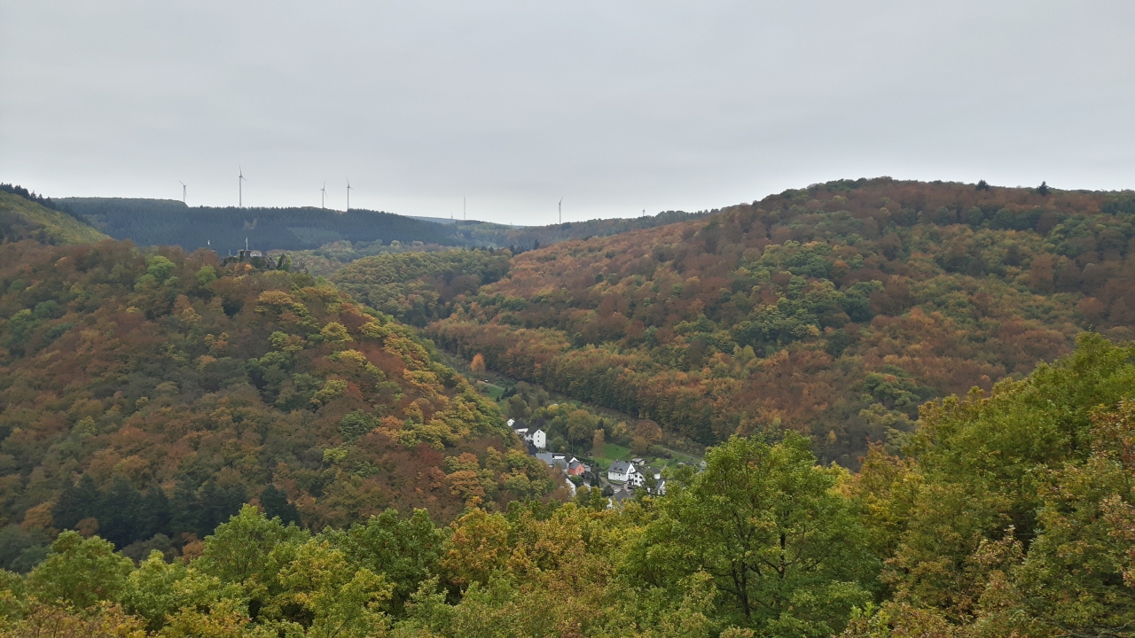 Mosel05.jpg