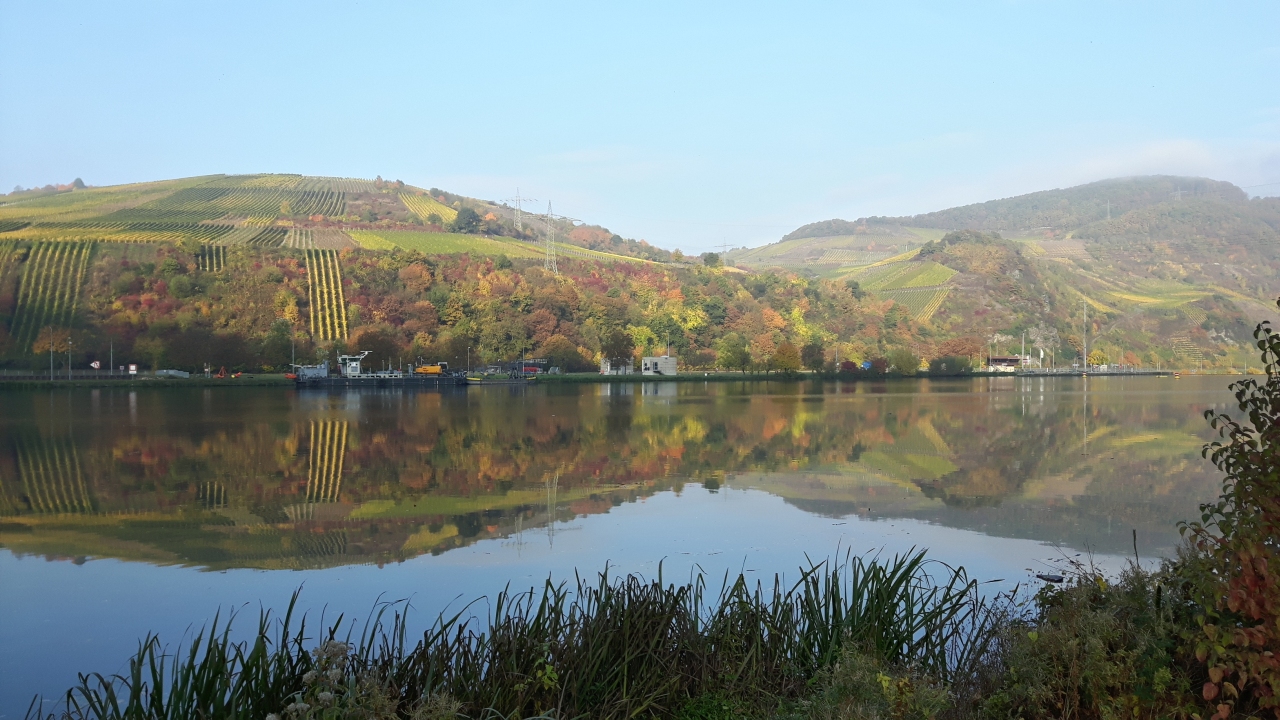 Mosel06.jpg