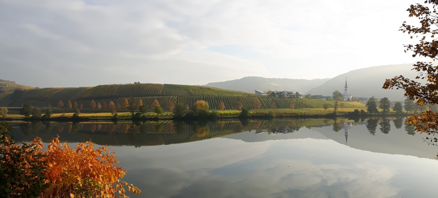 Mosel08.jpg