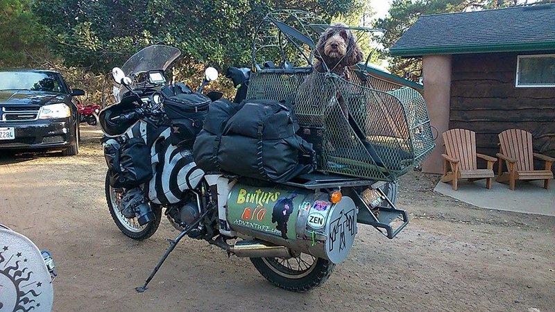 motorrad vollgepackt mit hund.jpg