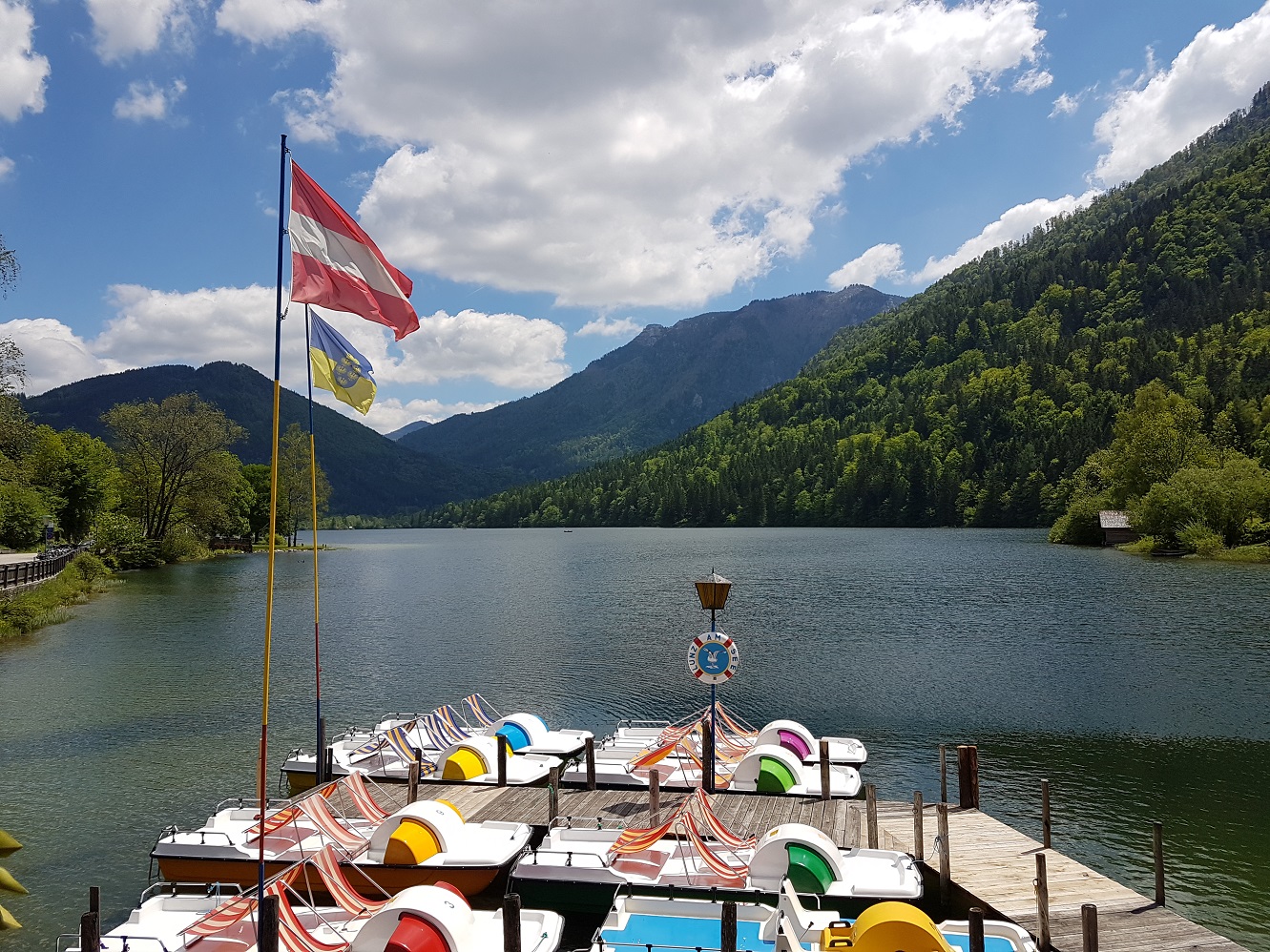NÖ06.jpg