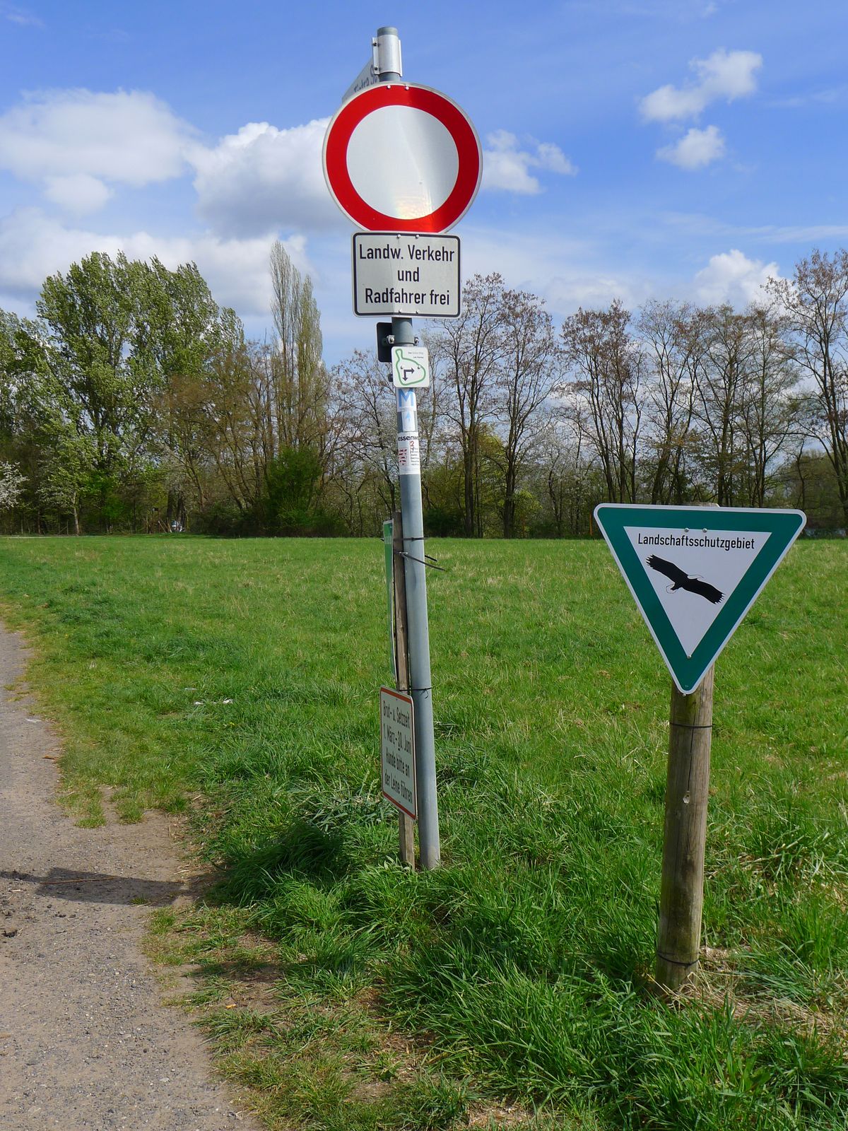 P1000009.JPG