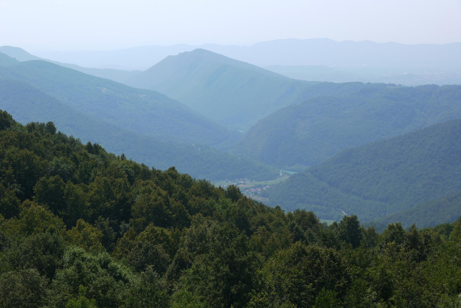 P1000044.jpg