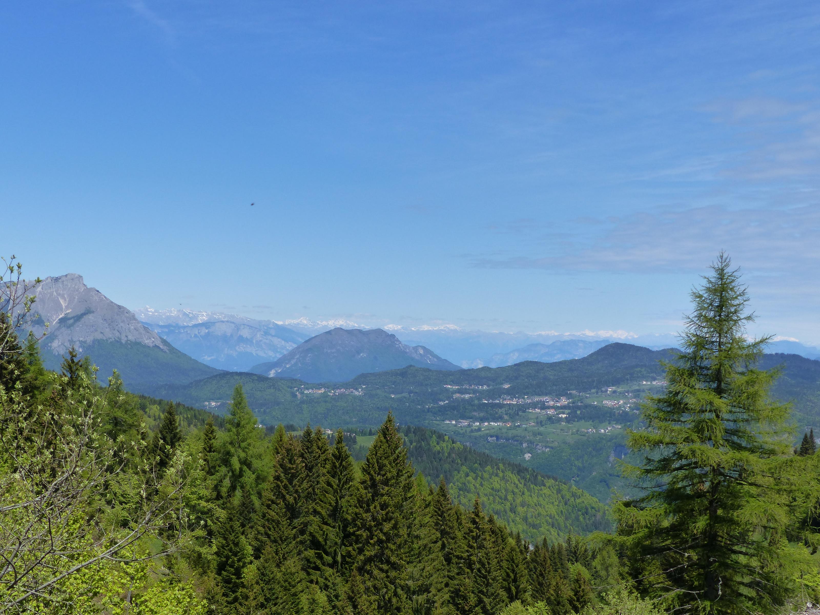 P1000291.jpg