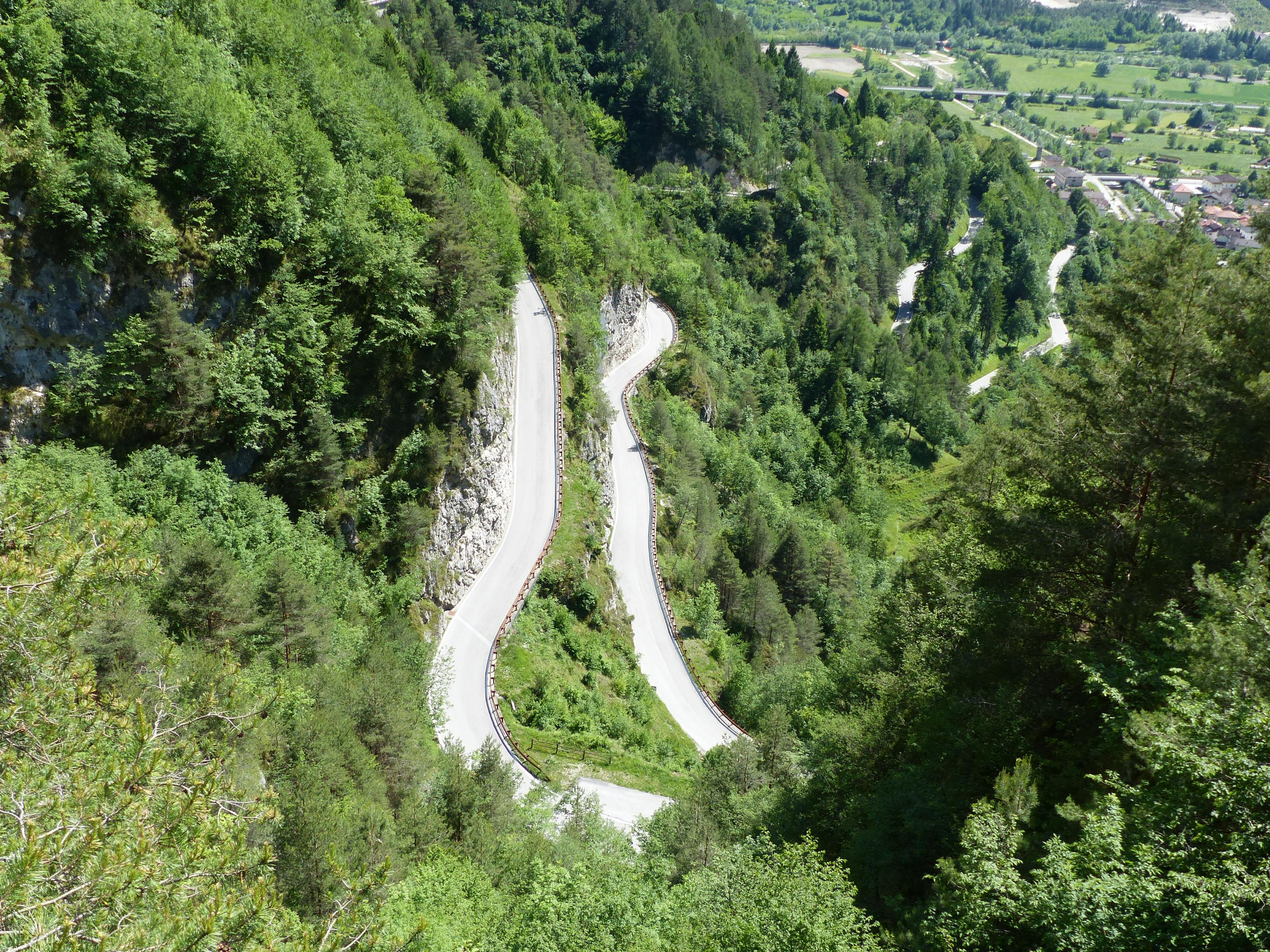 P1000313.jpg