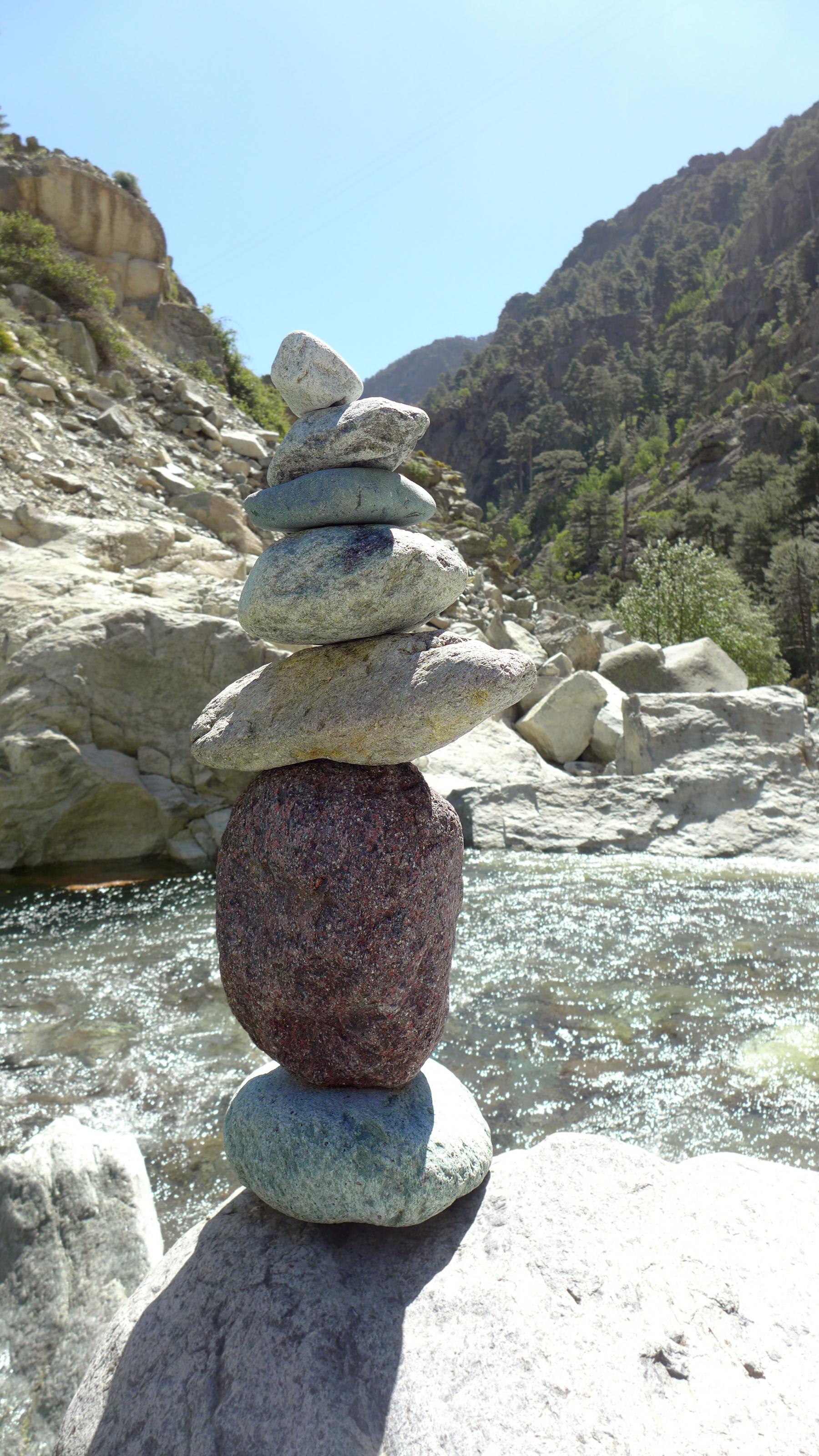 P1000342.jpg