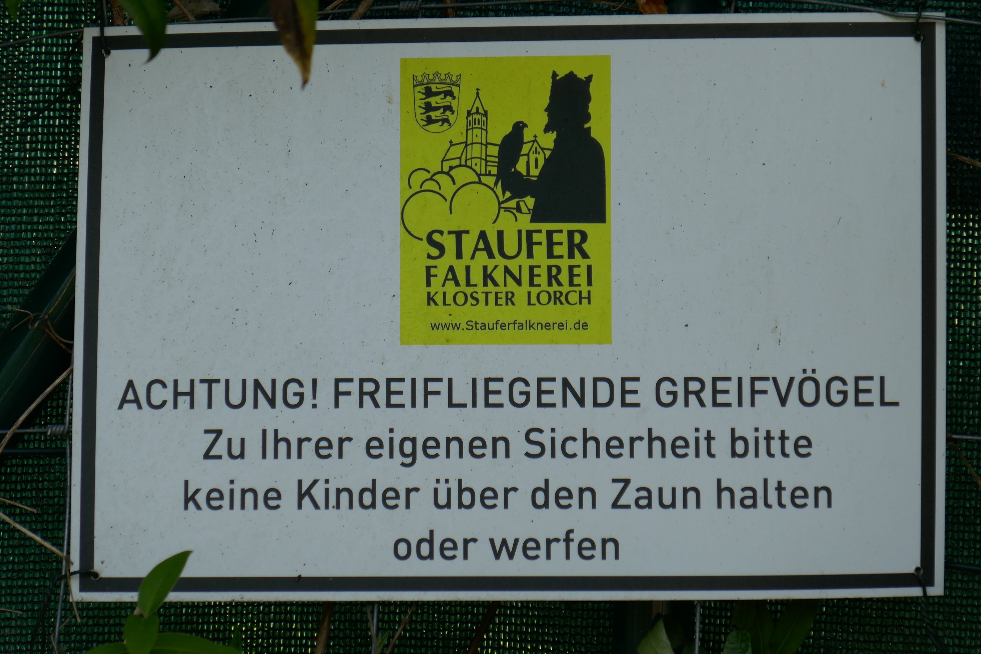 P1000478.JPG