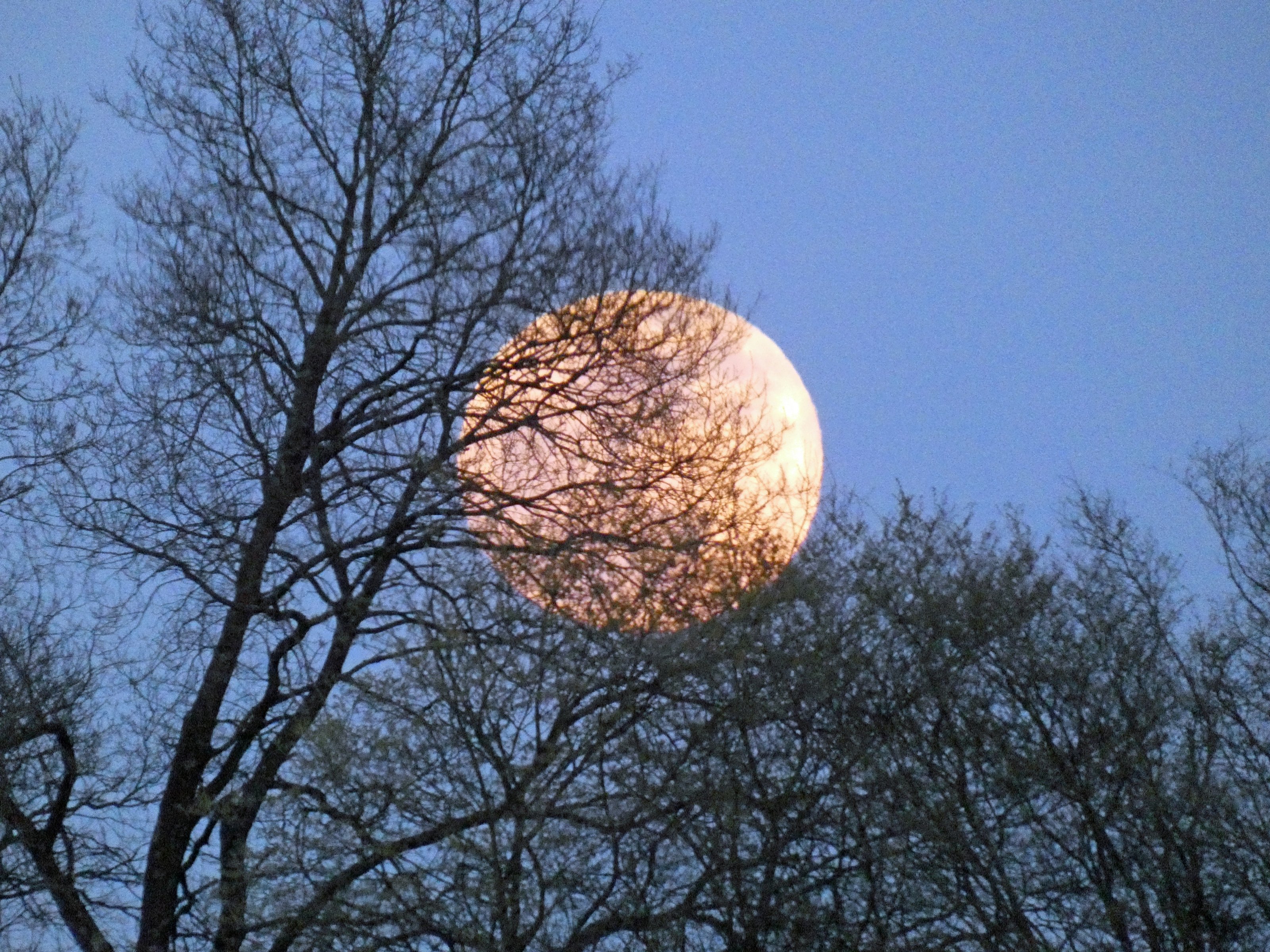 P1000533-2.jpg