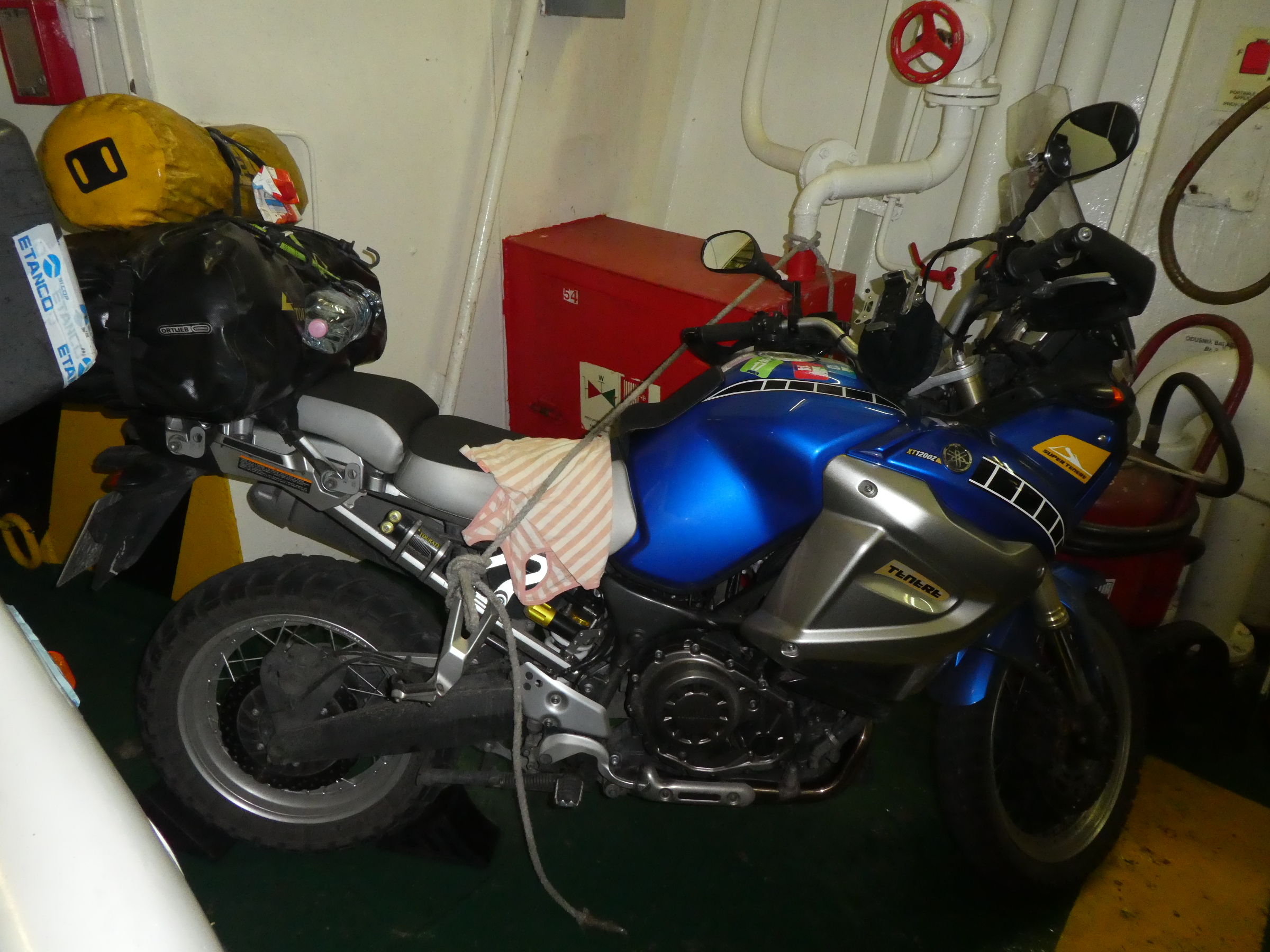 P1000944.JPG