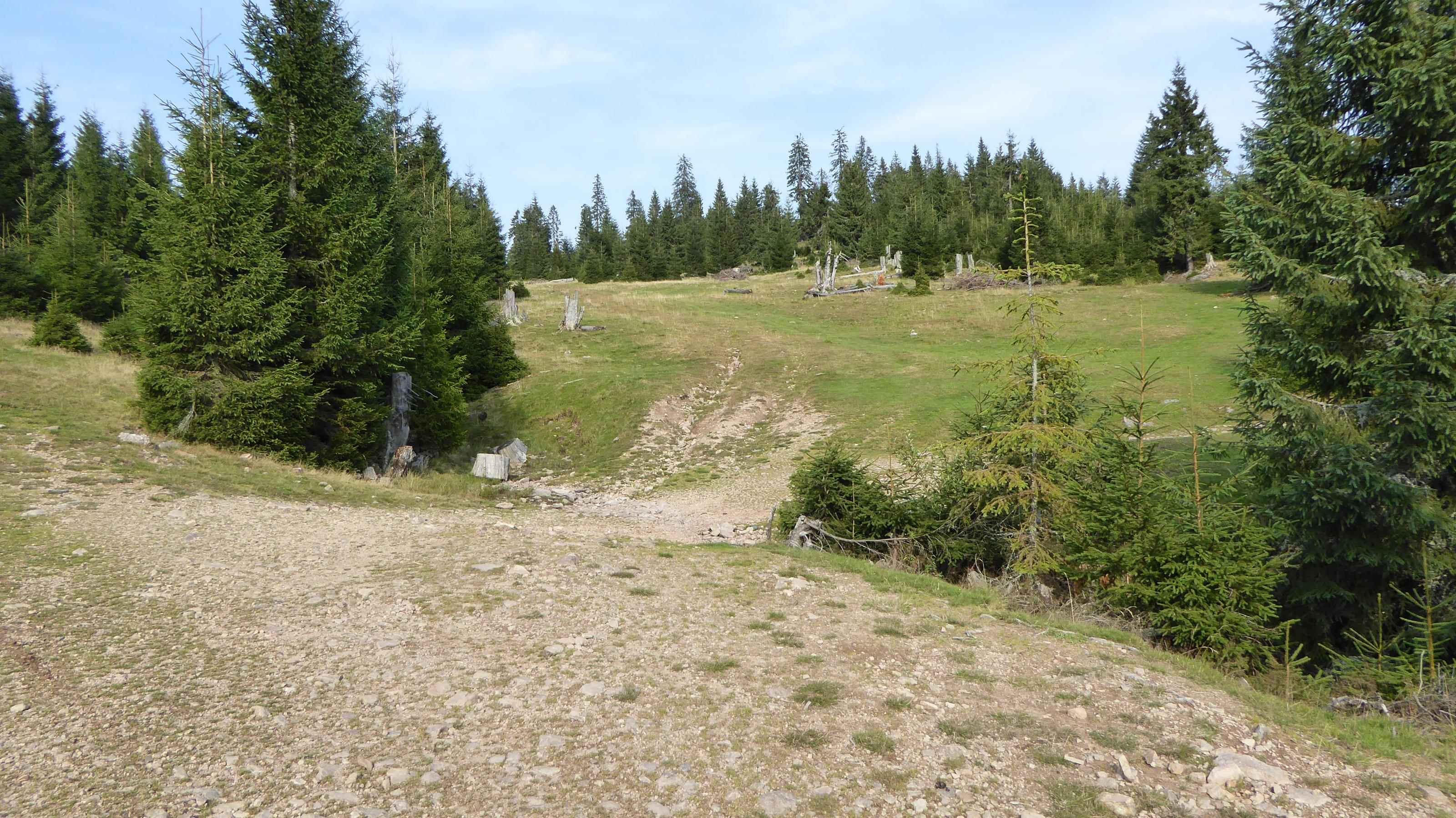 P1000952.jpg