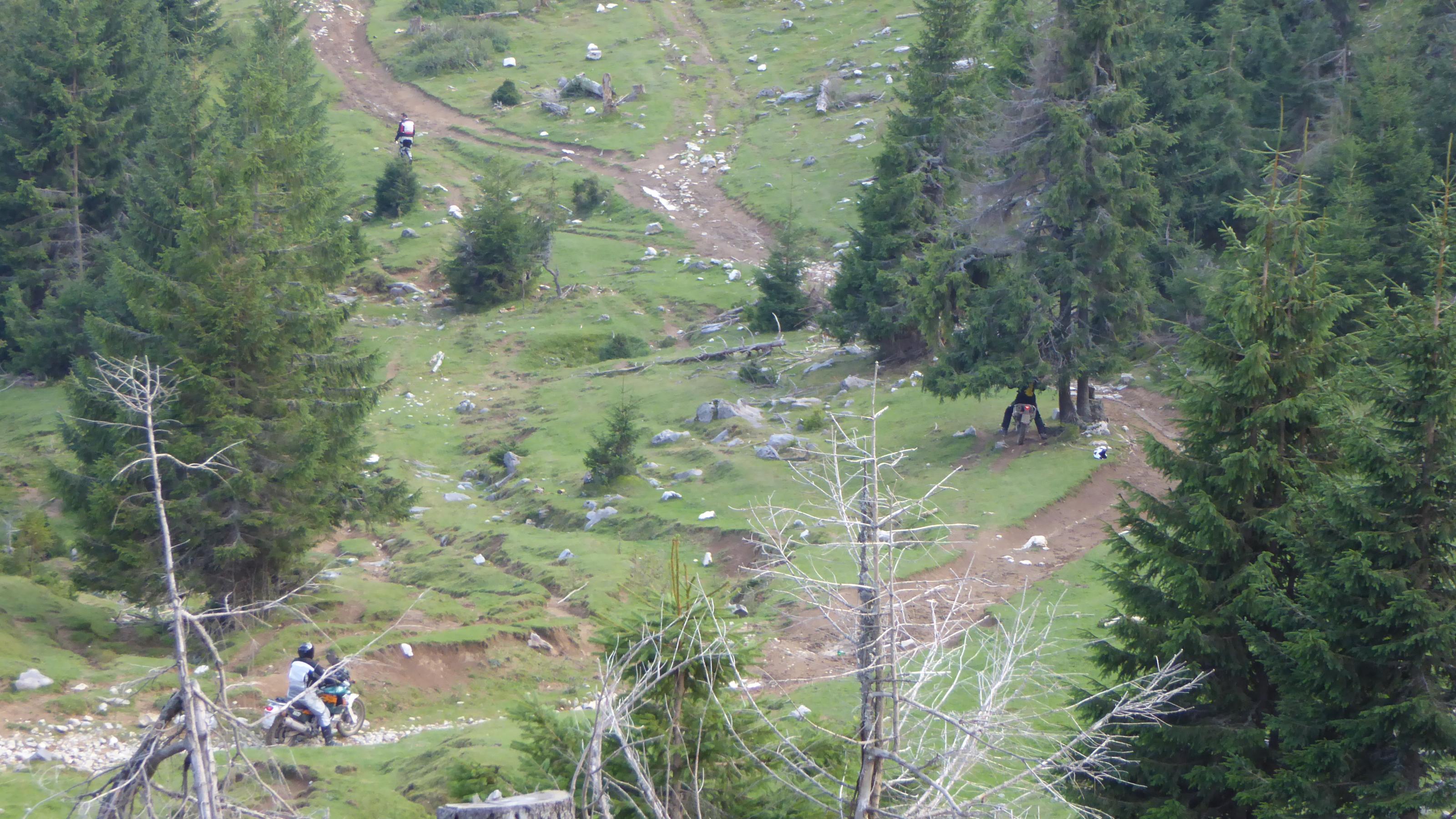 P1000994.jpg