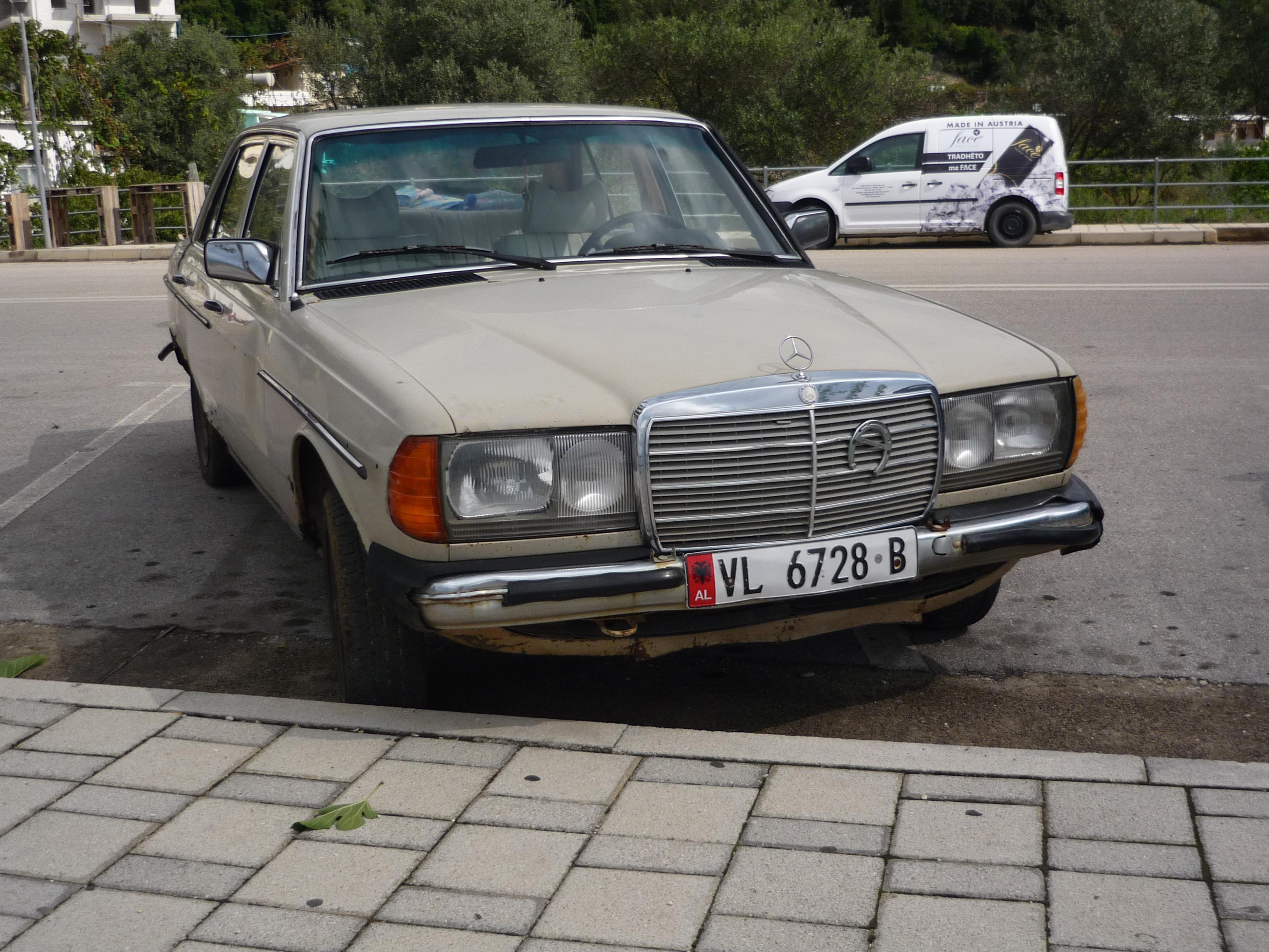 P1020106.jpg