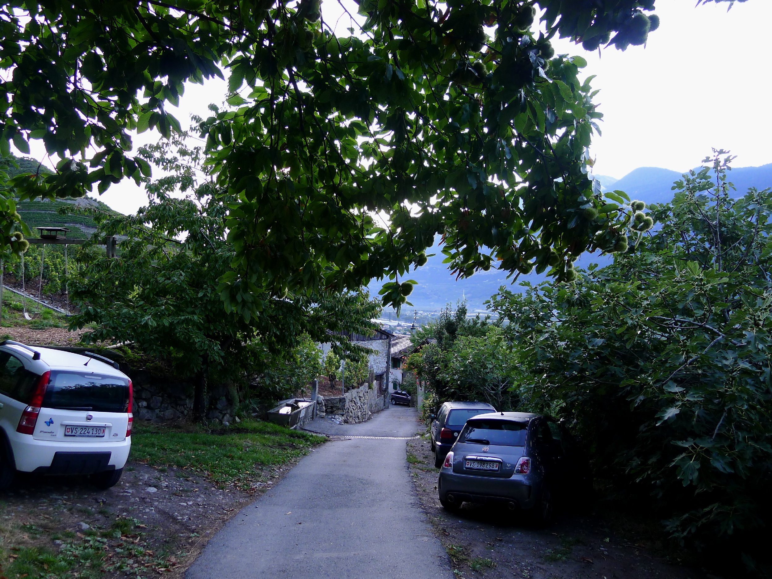 P1020309.JPG