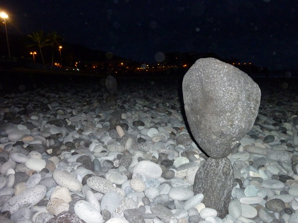 P1020467.JPG