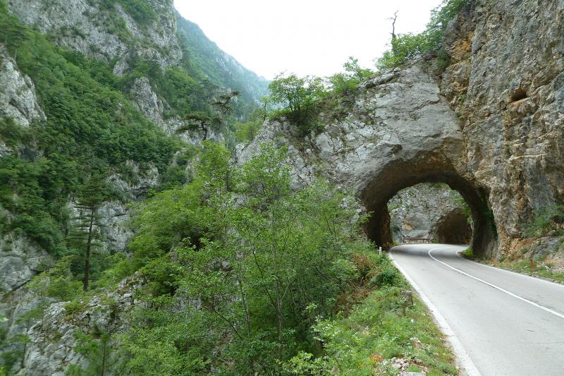 P1020879.jpg
