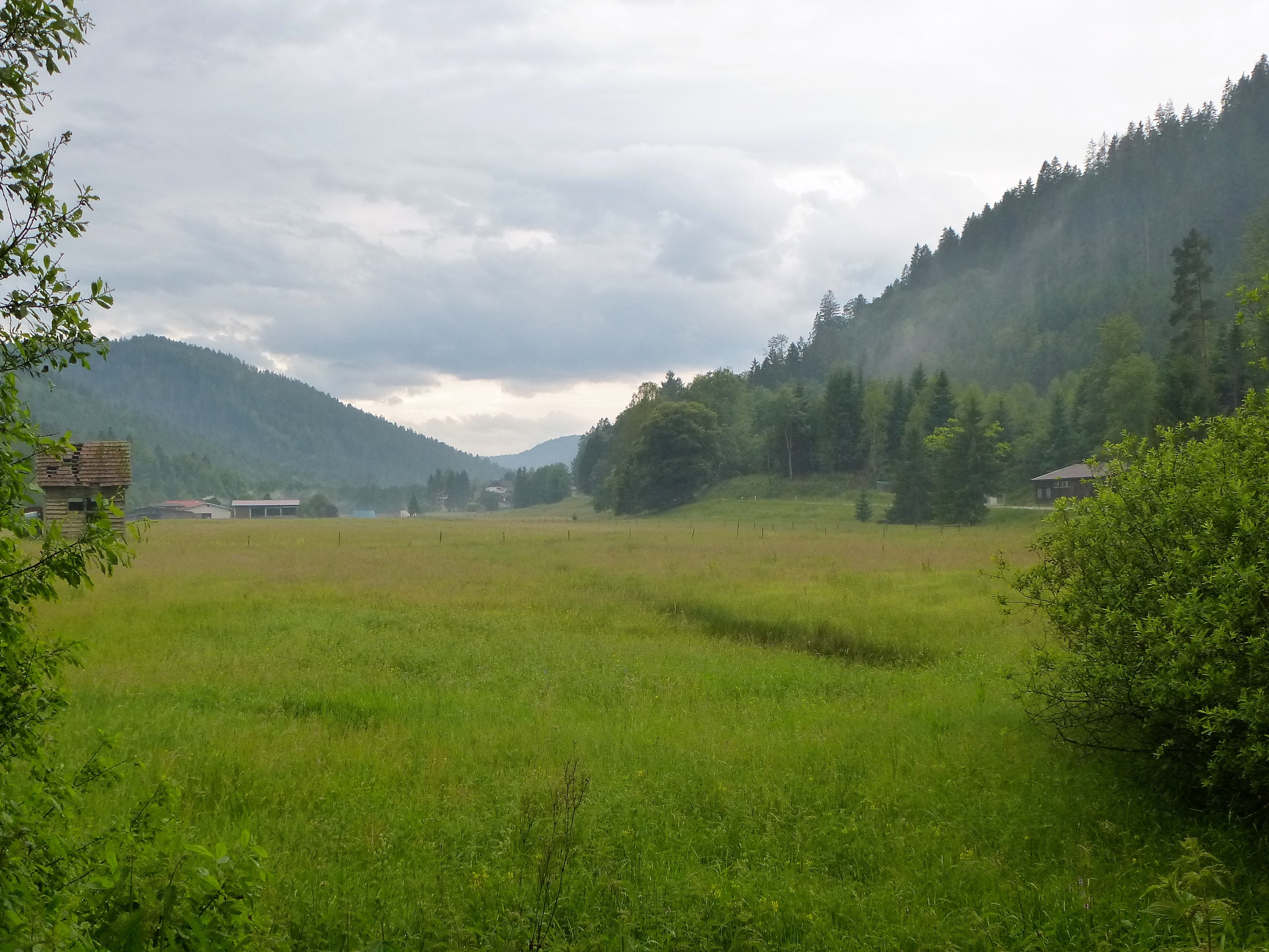 P1030725.JPG