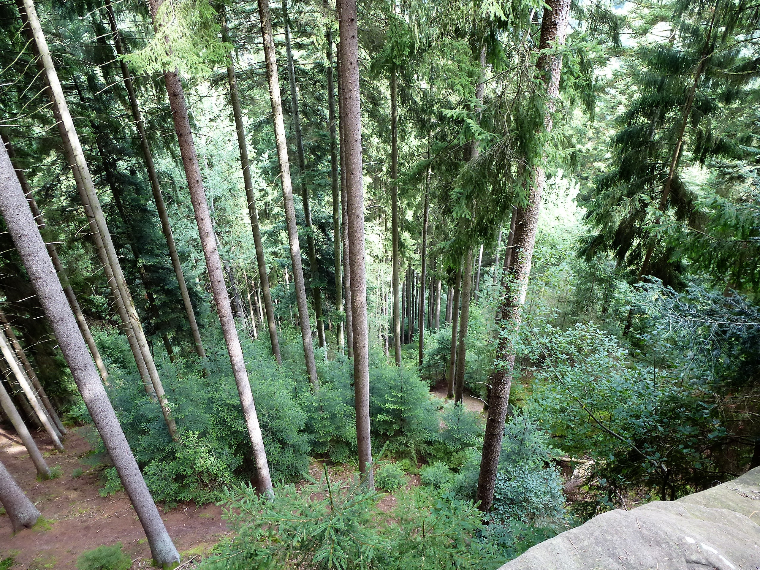 P1040204.JPG