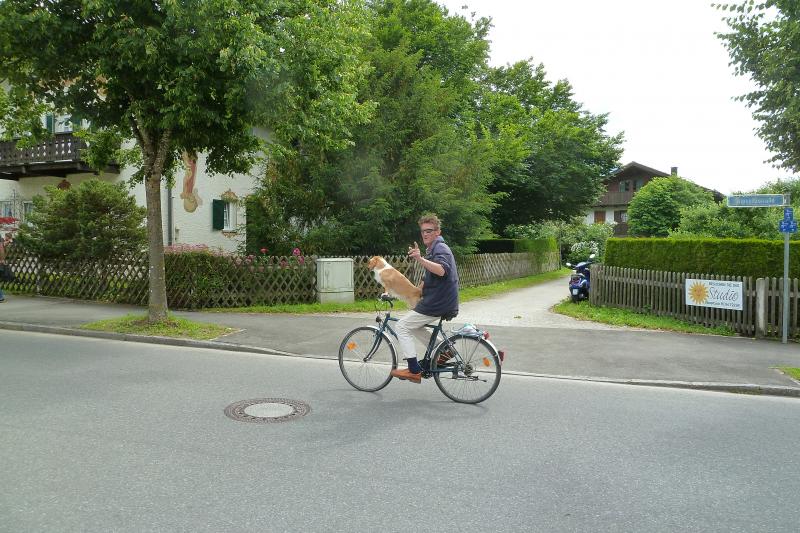P1040765.jpg