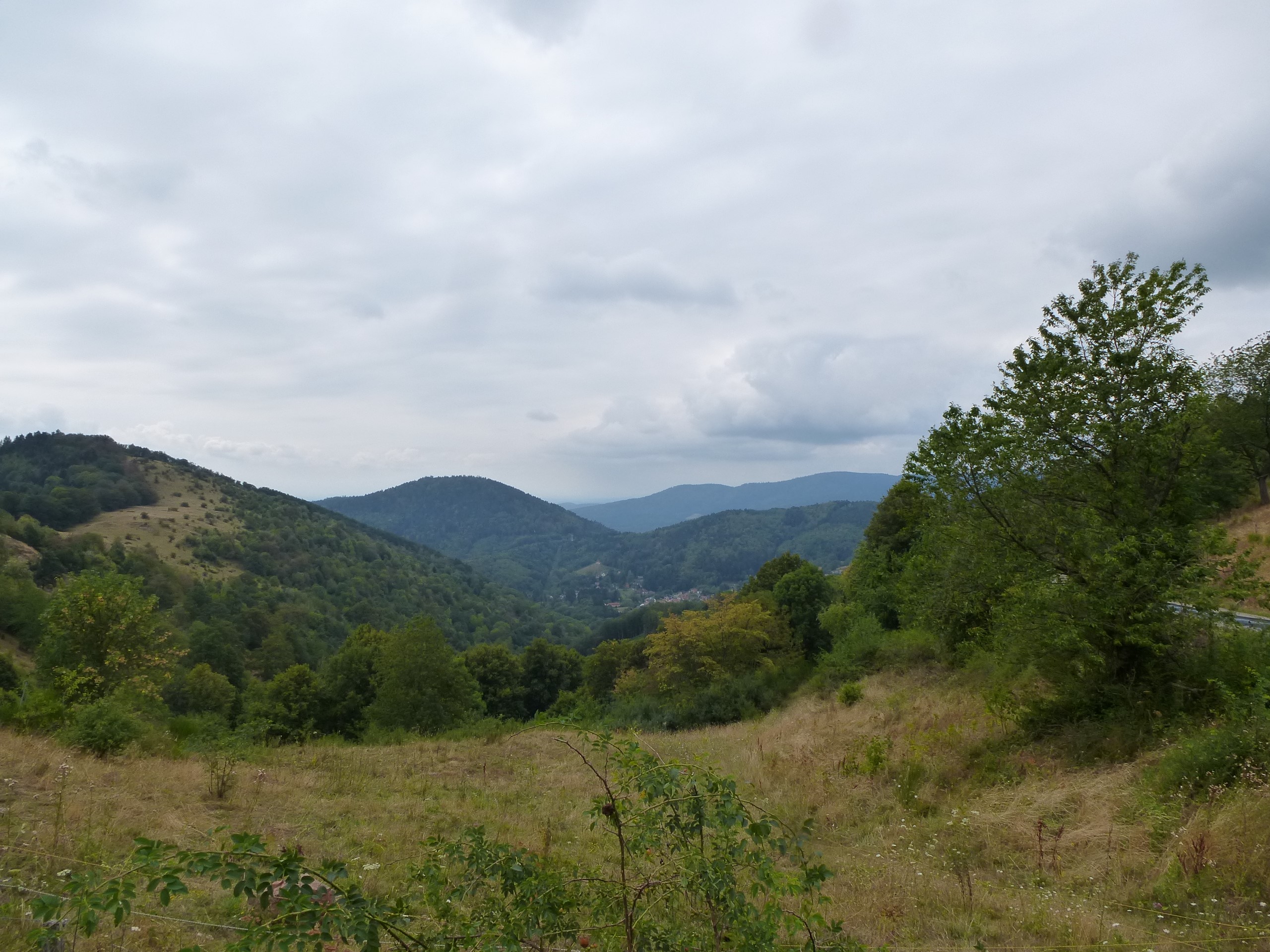 P1040911.JPG