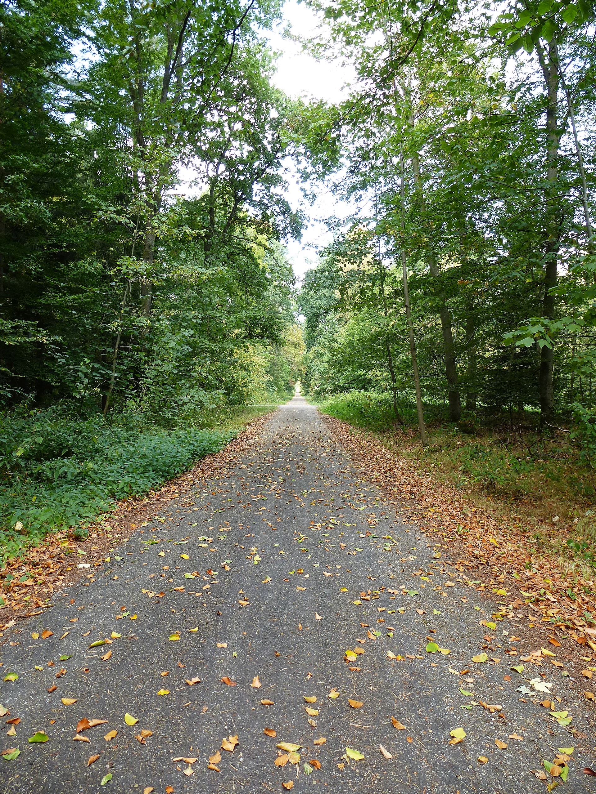 P1050058.JPG