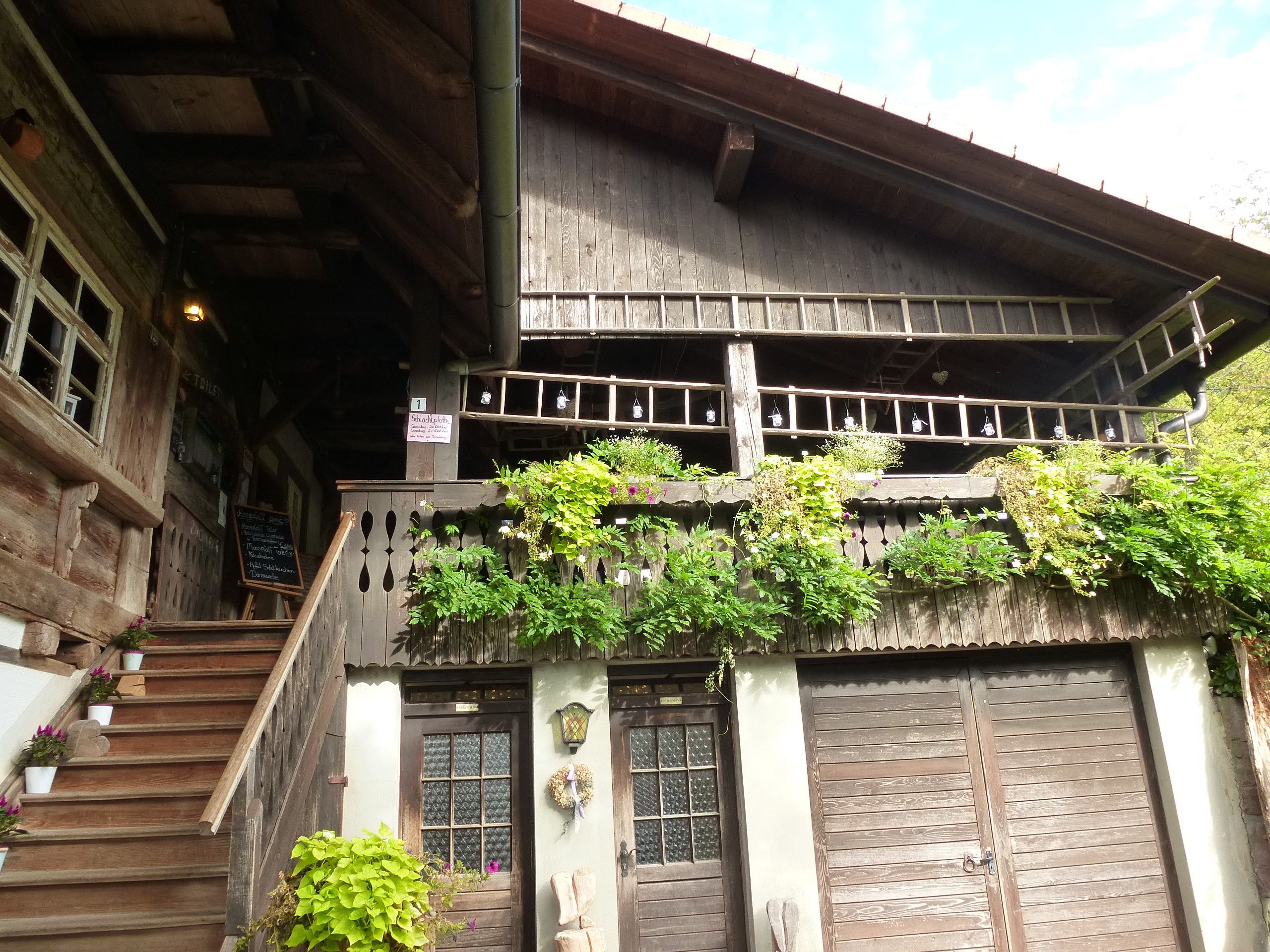 P1050164.JPG