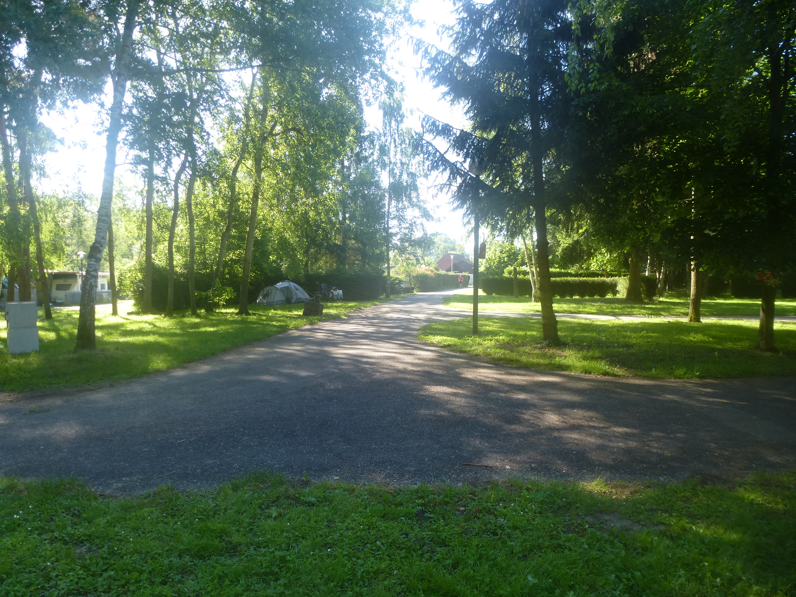 P1050591.JPG