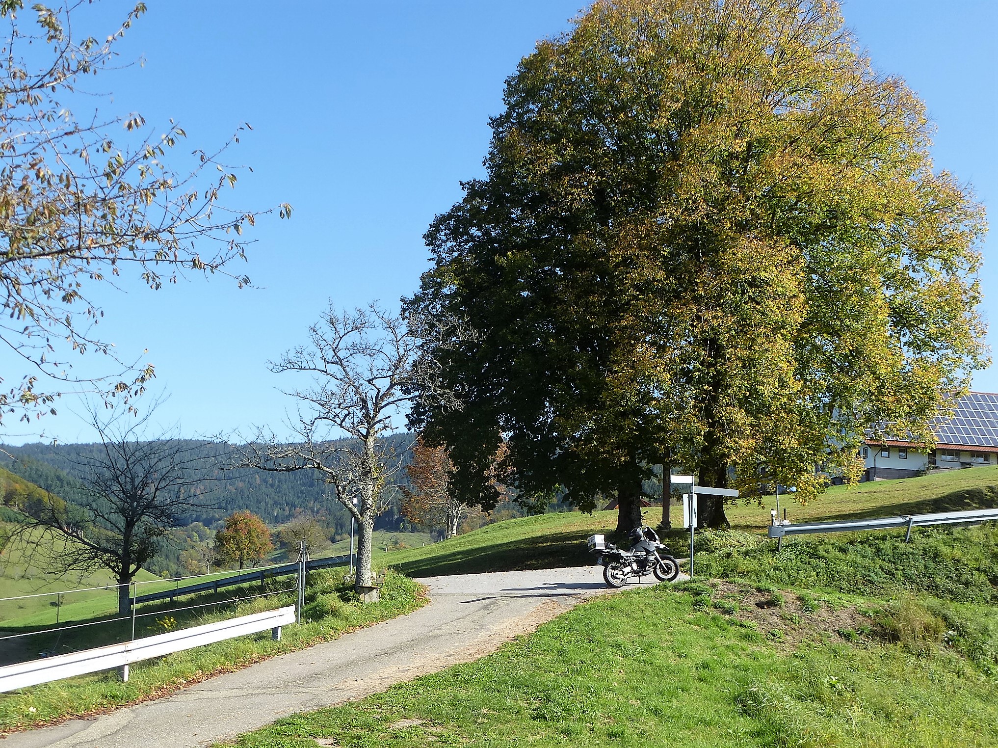 P1050841.JPG