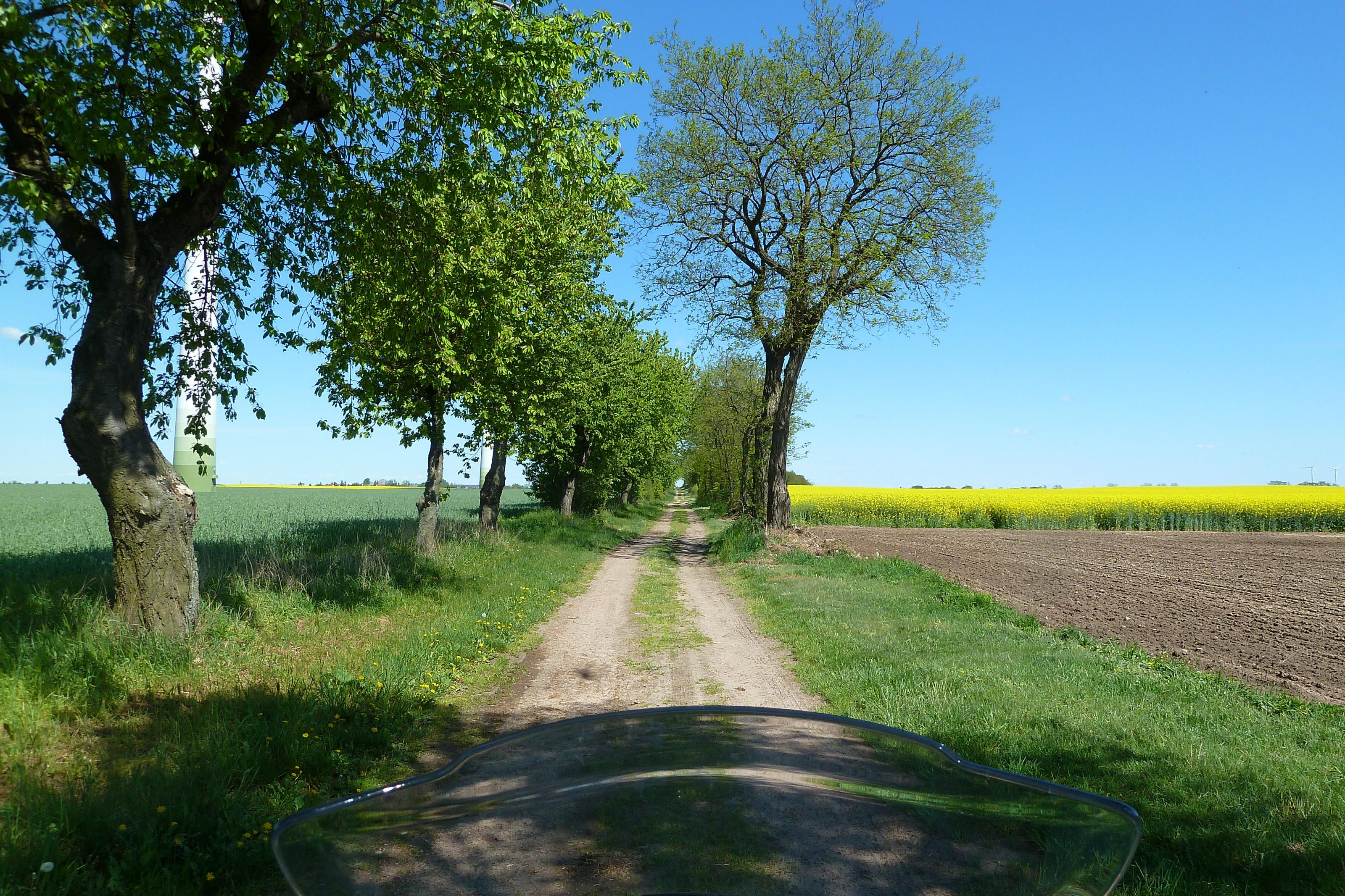 P1060115.jpg