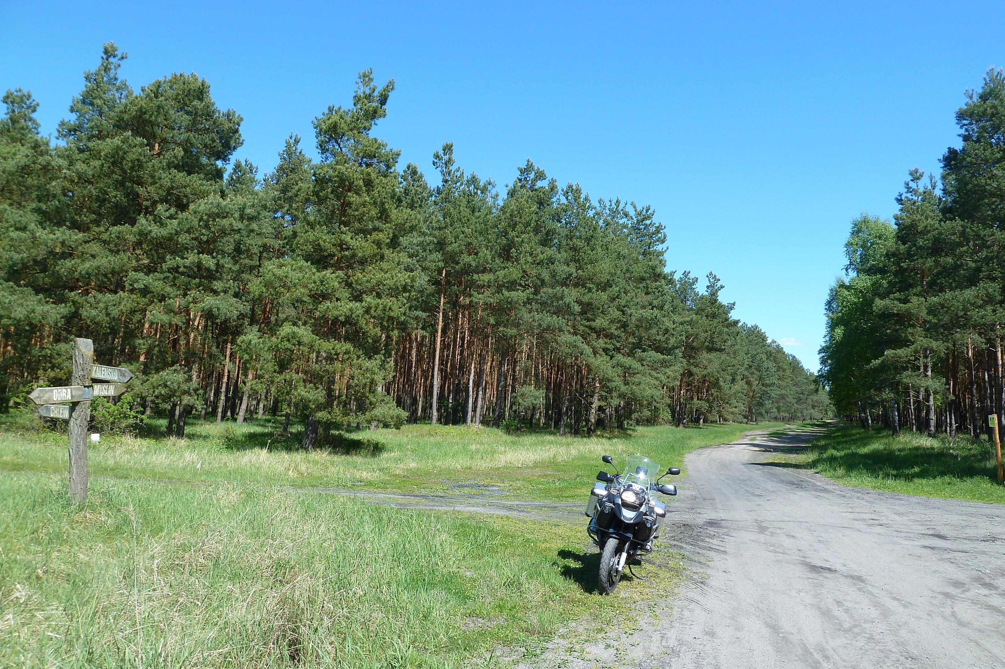 P1060130.jpg