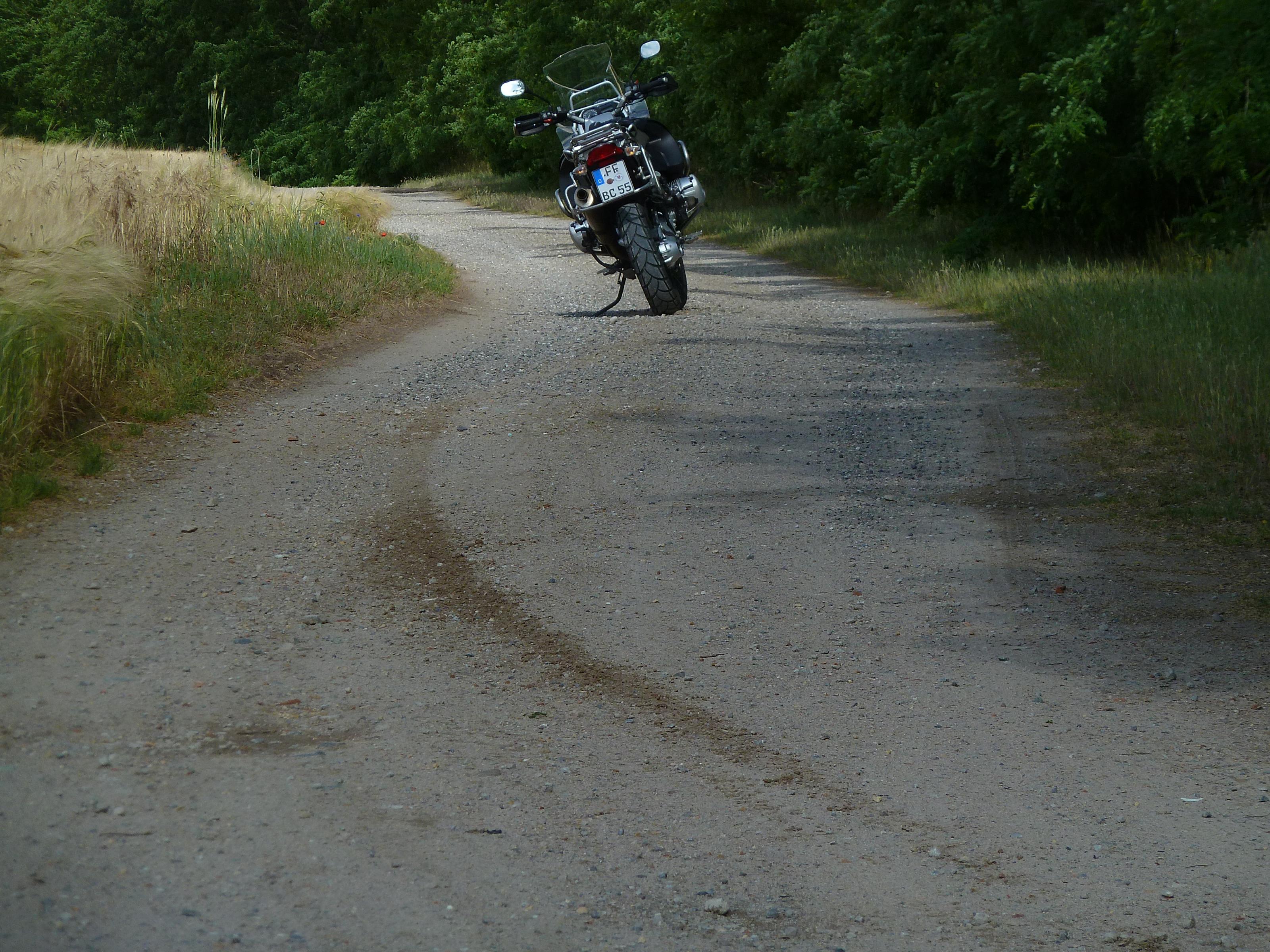 P1070195.jpg