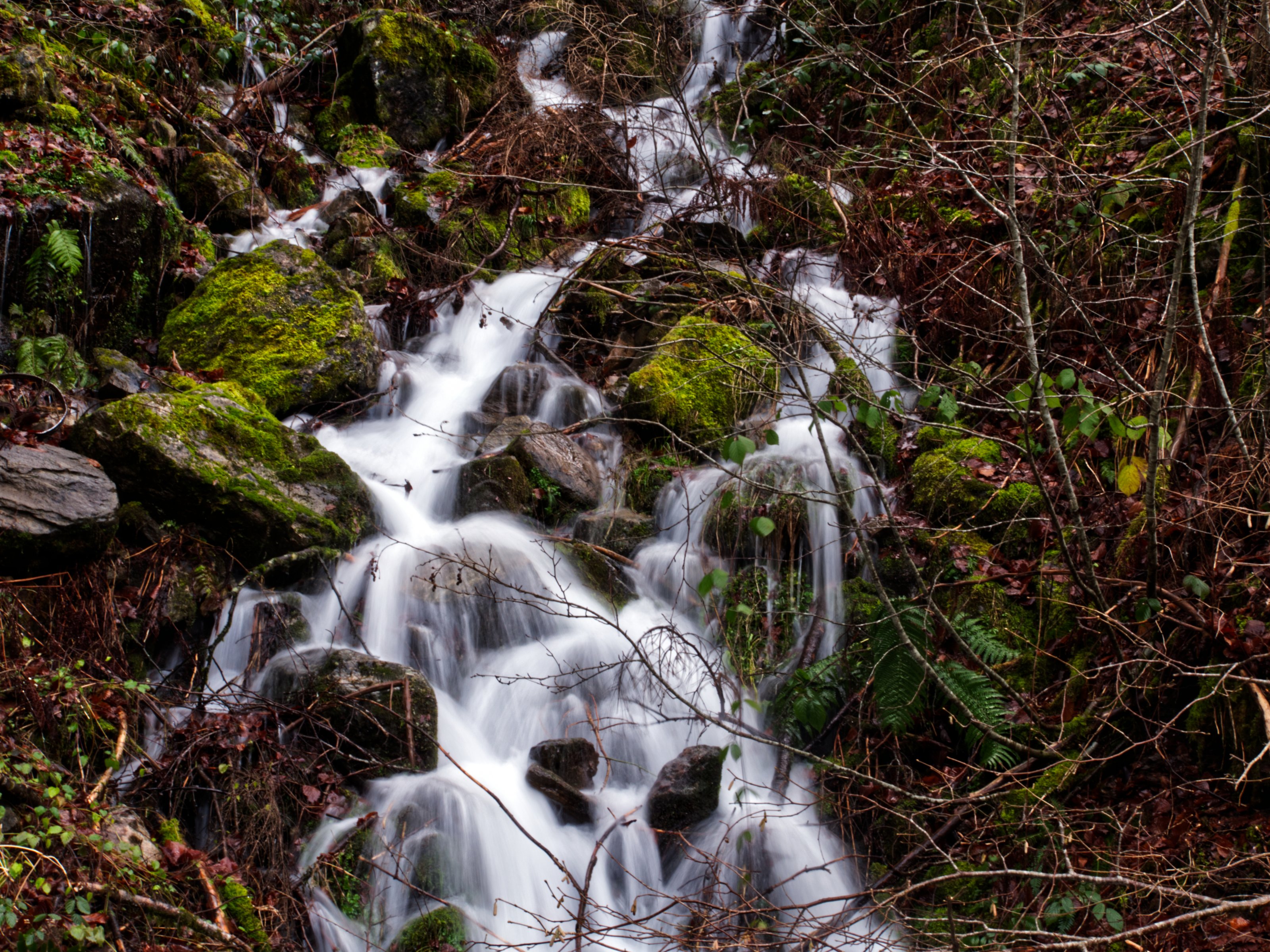 P1077092_raw_mod_aff.jpg