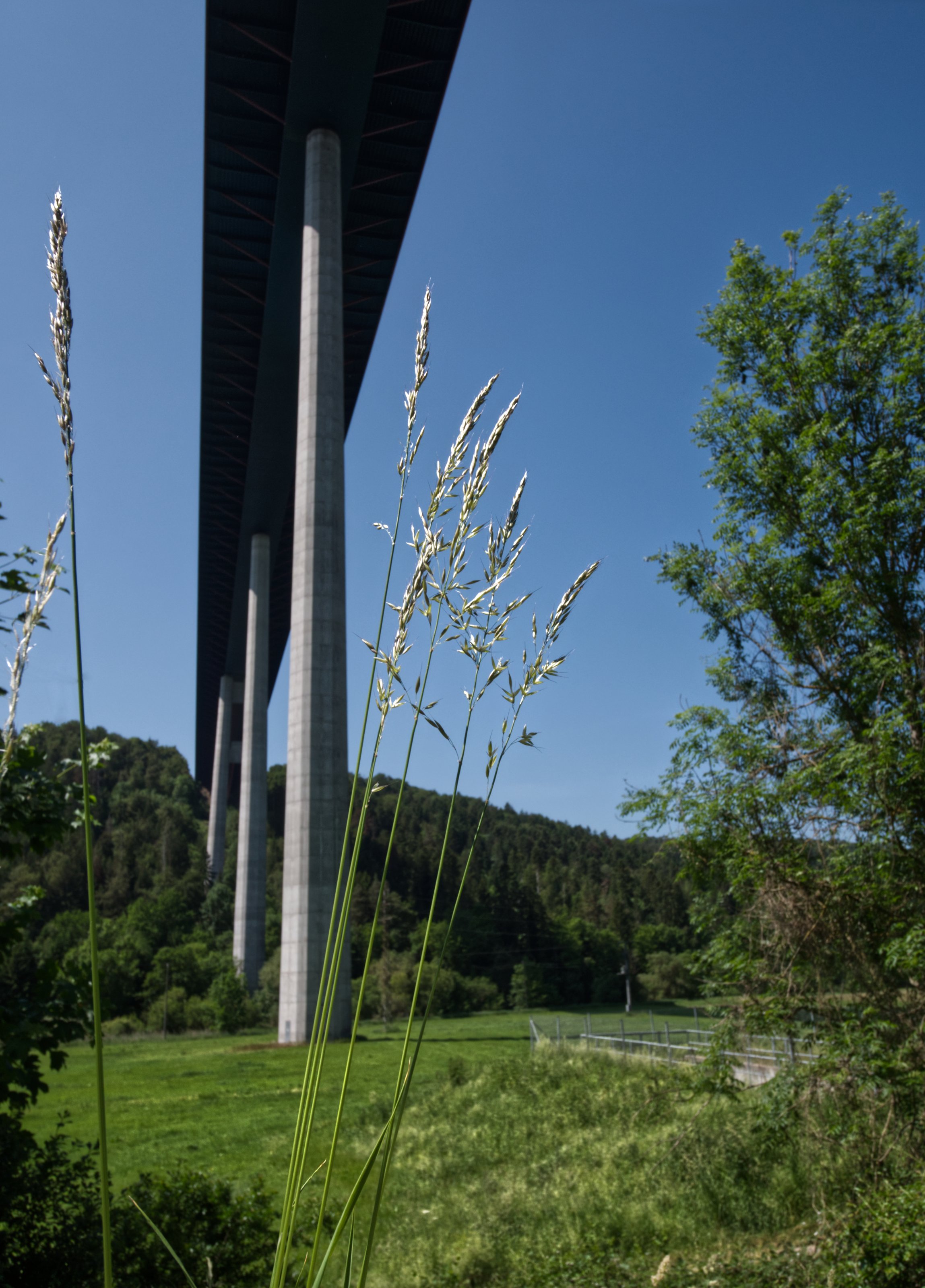 P1088233_mod_Aff.jpg