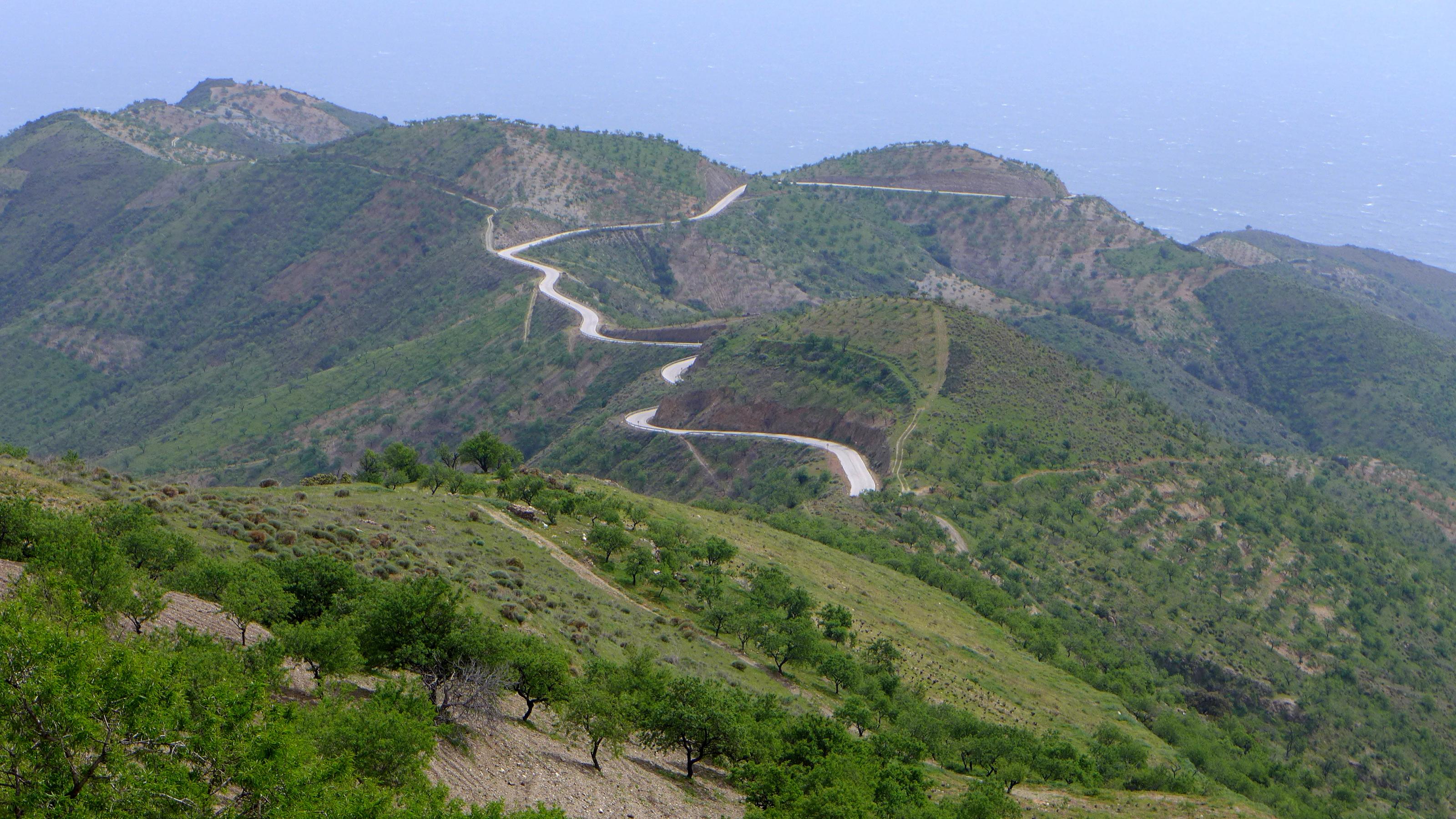 P1090752.jpg