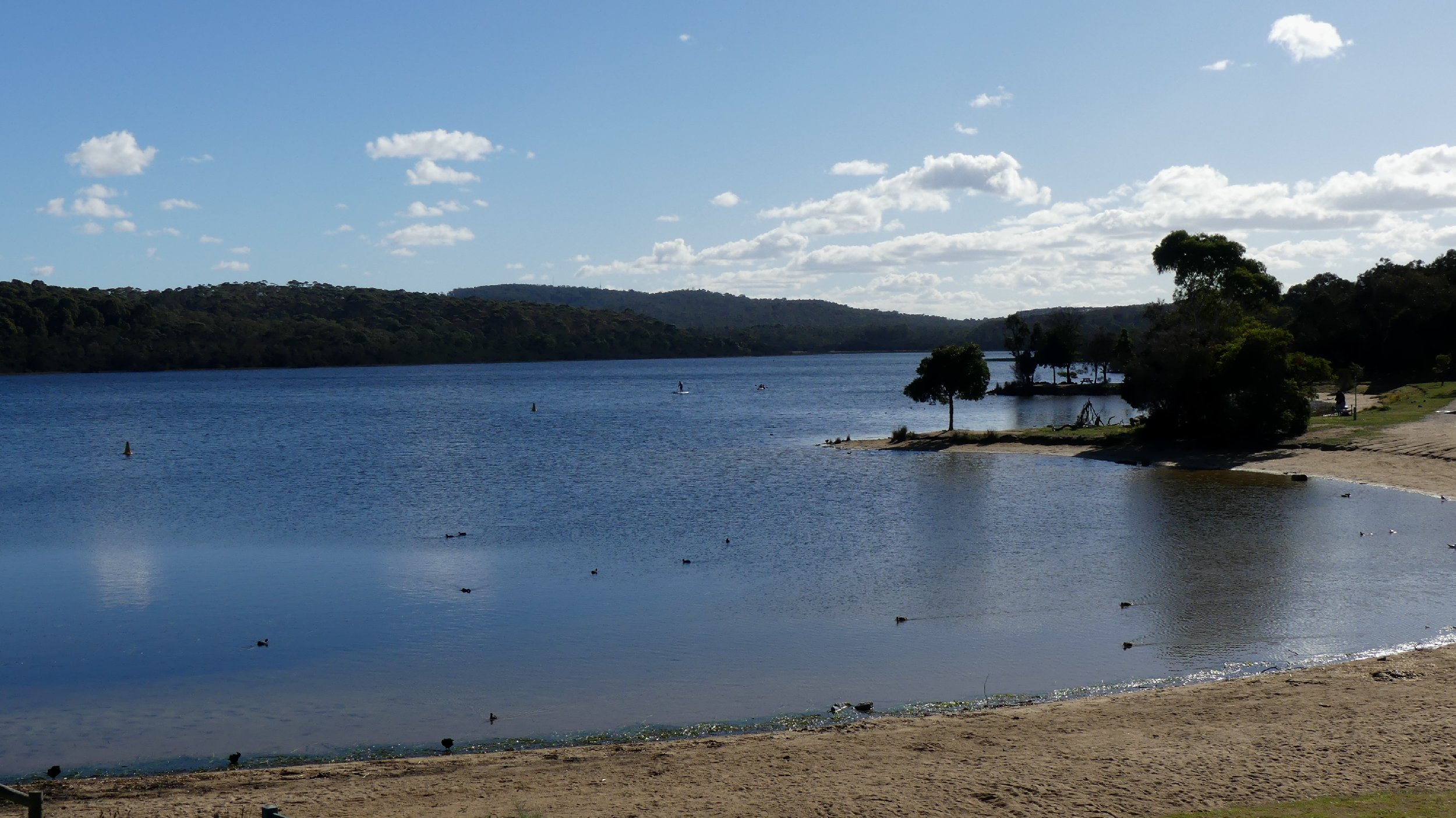 P1110884.JPG