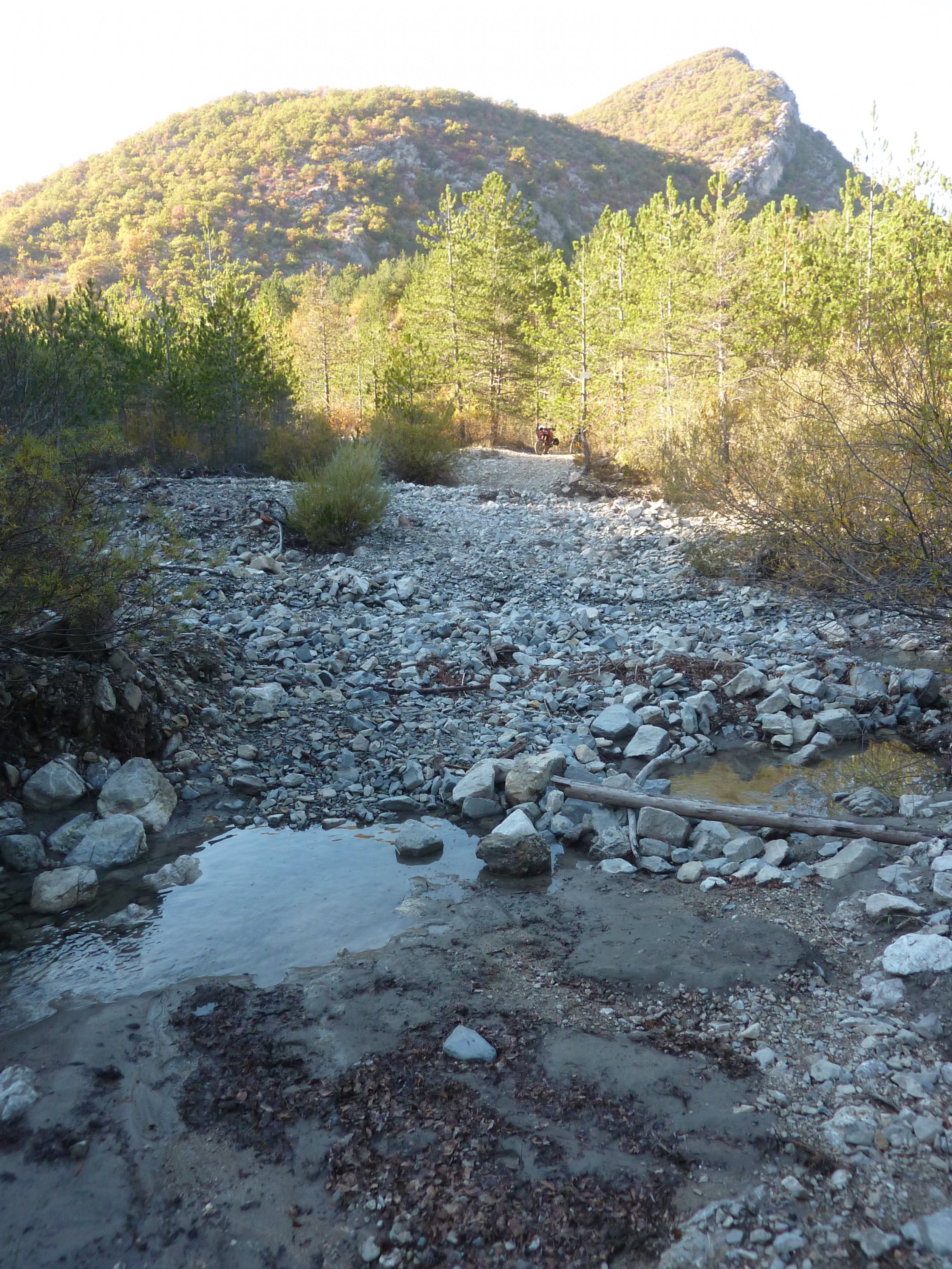 P1120735.JPG