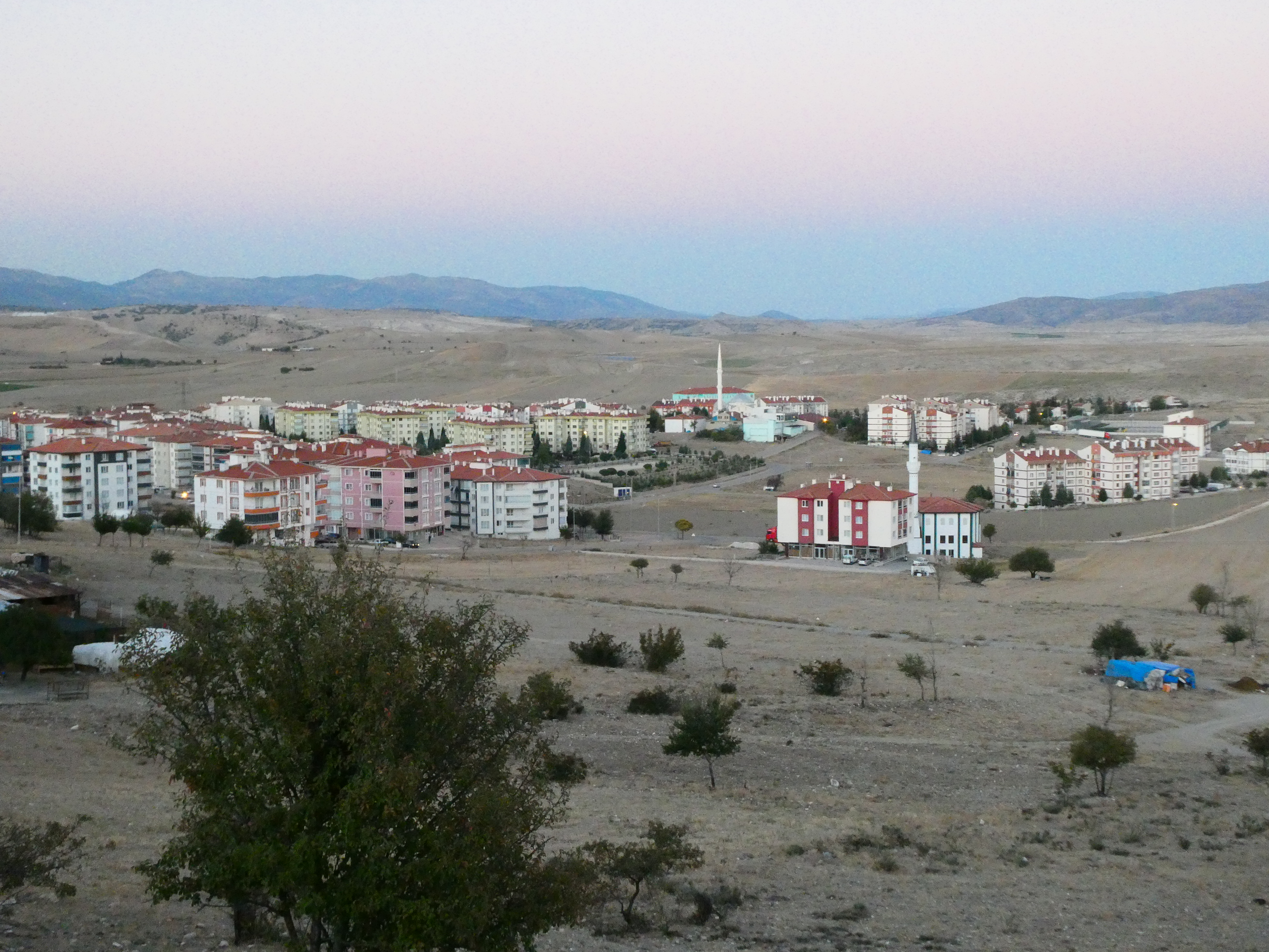 P1120818.JPG