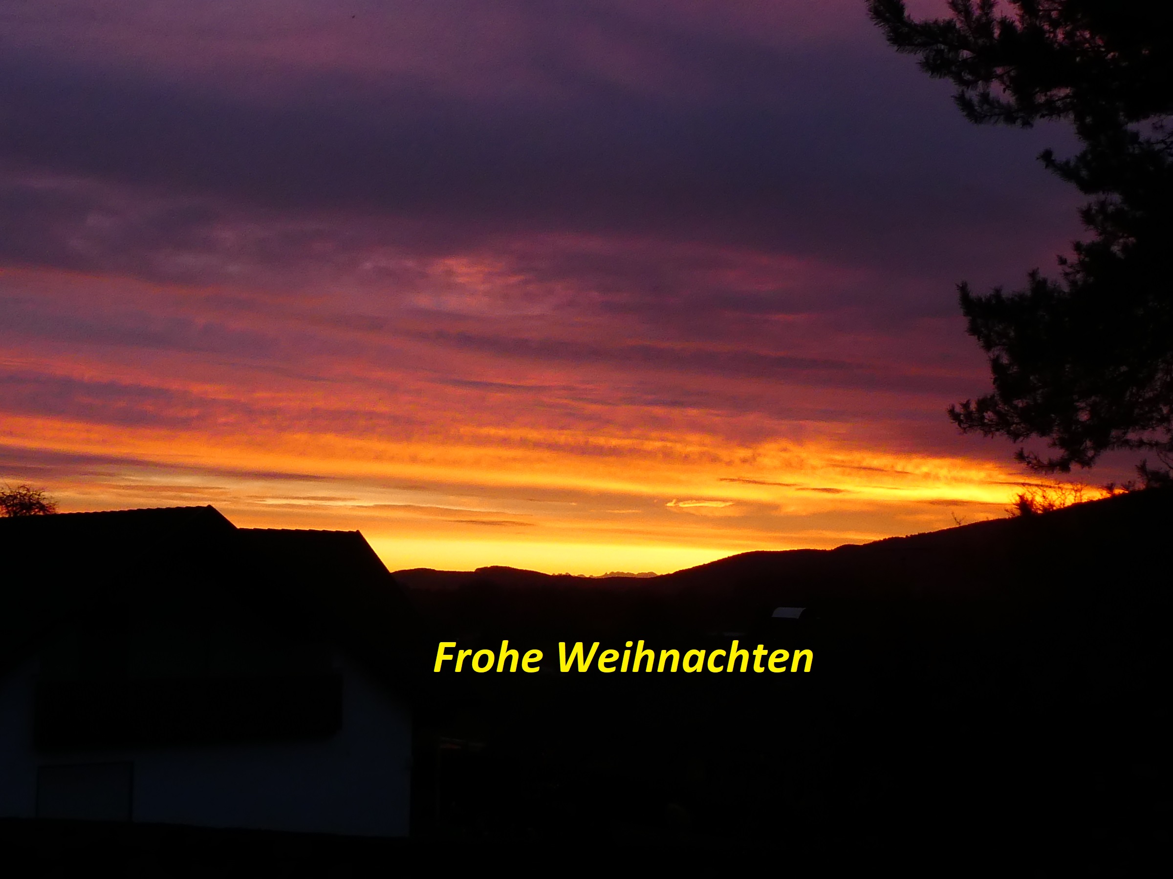 P1210445 - Kopie.JPG