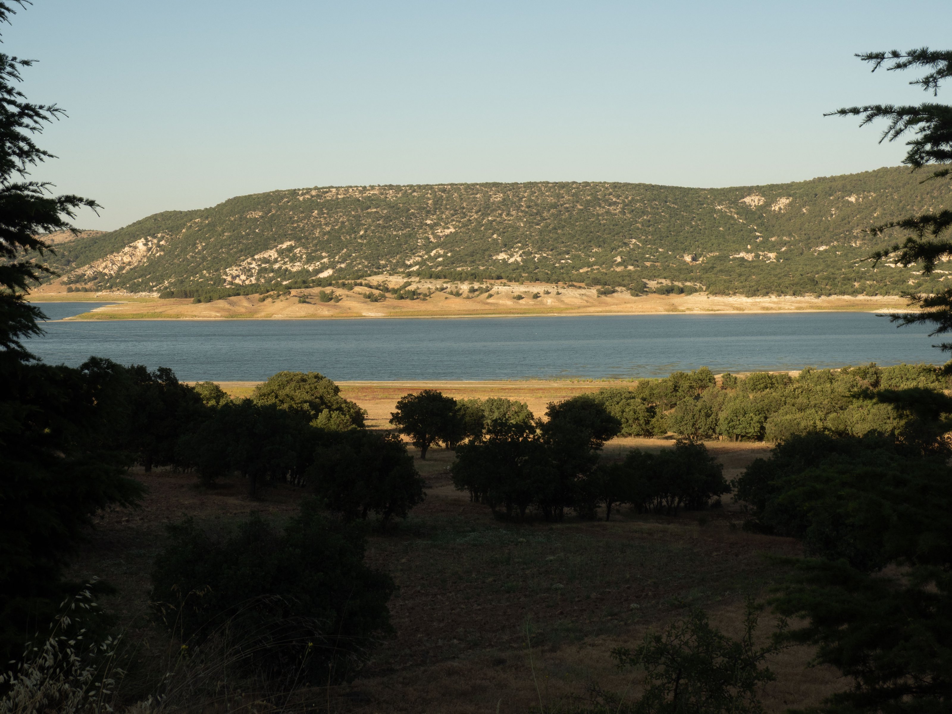 P6250621.jpg