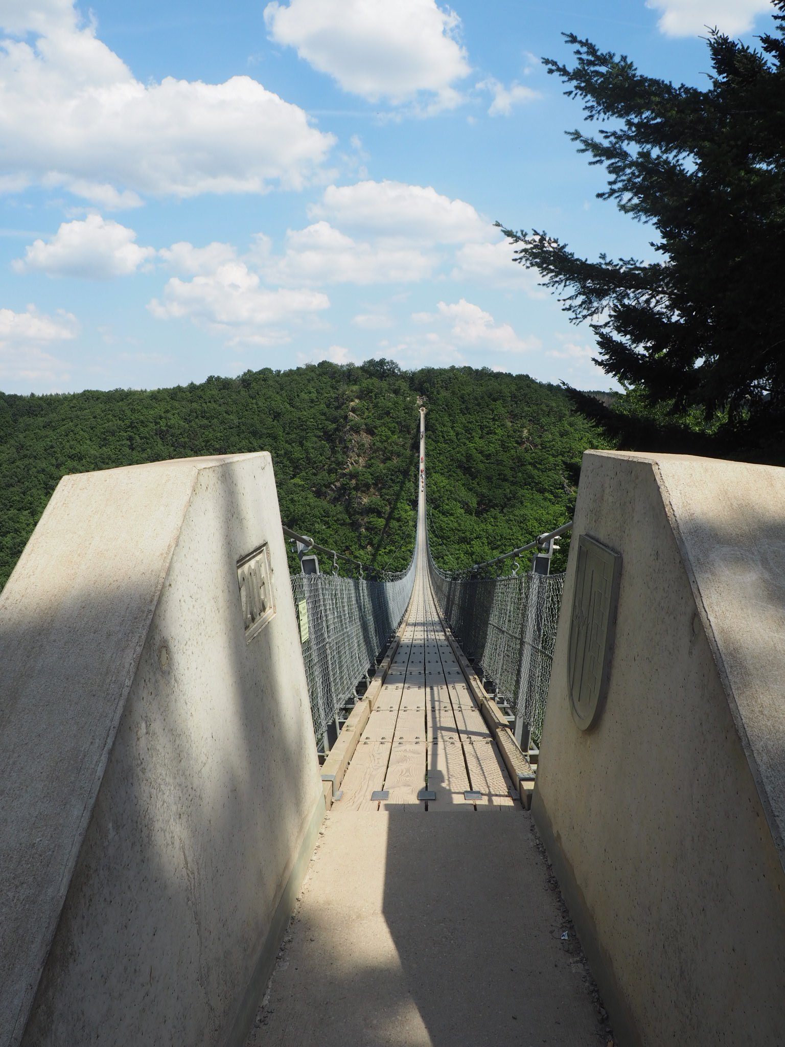 P6301022.JPG