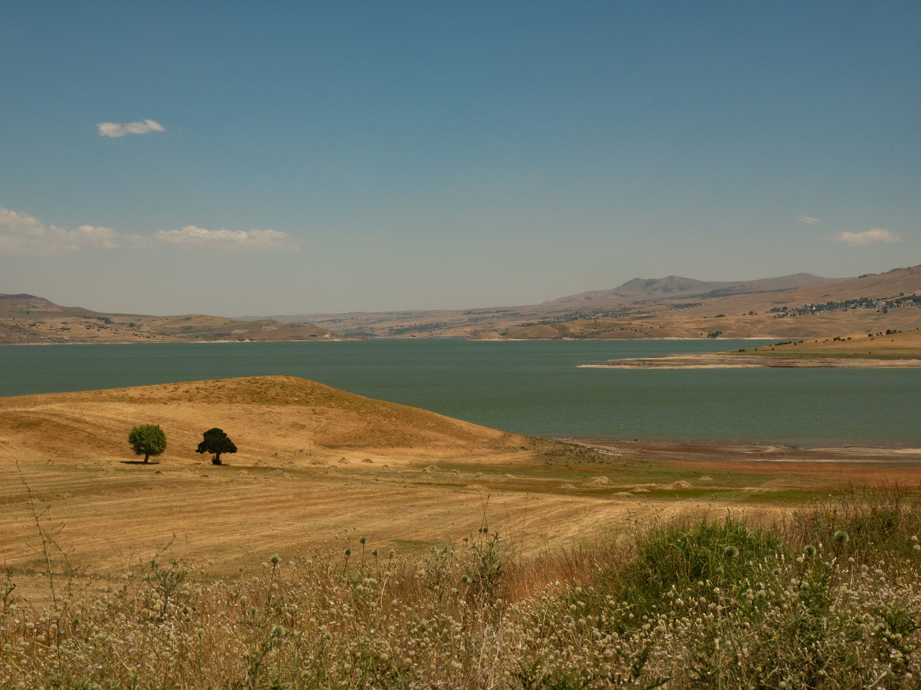 P7040834.jpg