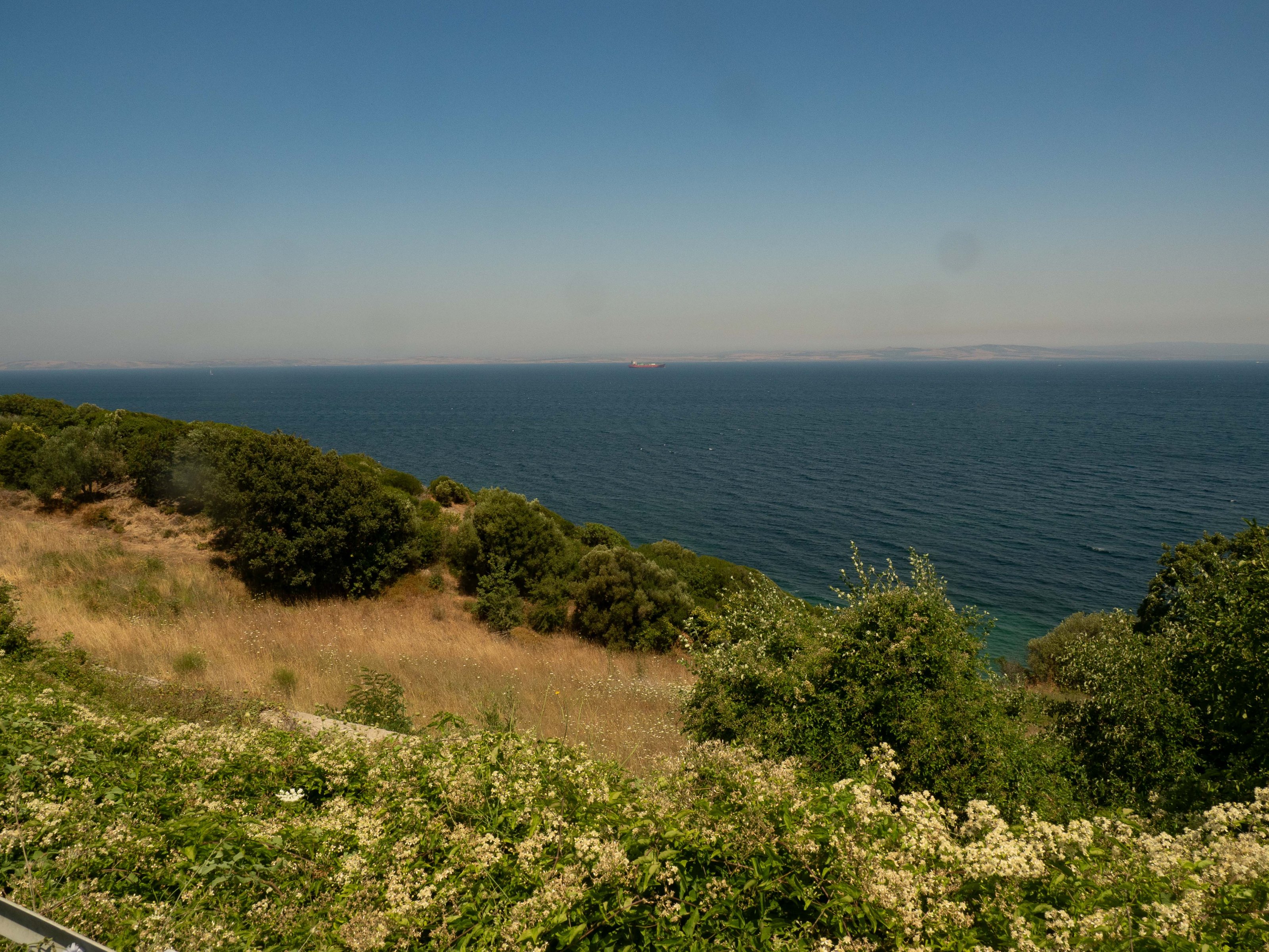 P7080925.jpg