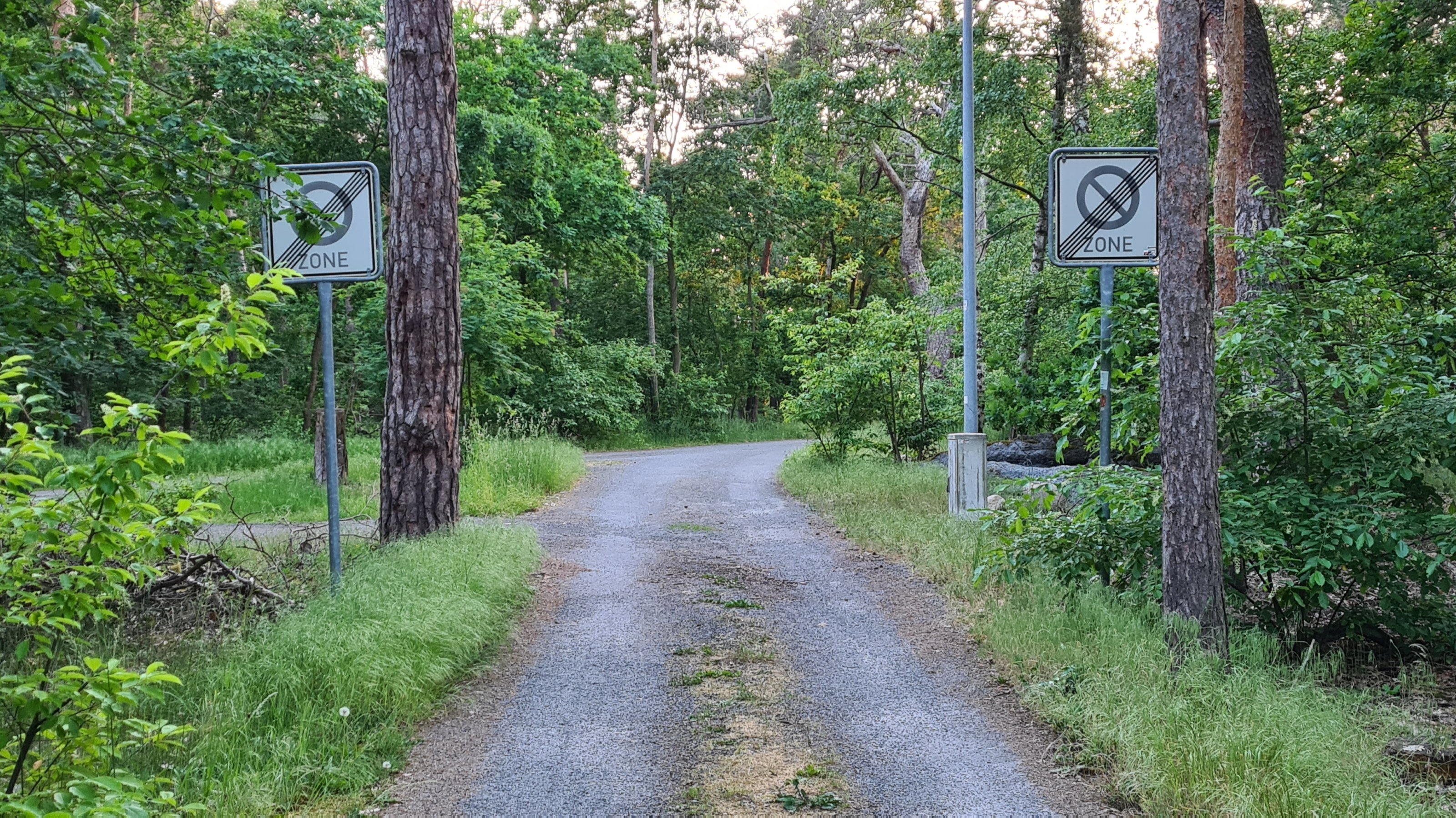 parken verboten.jpg